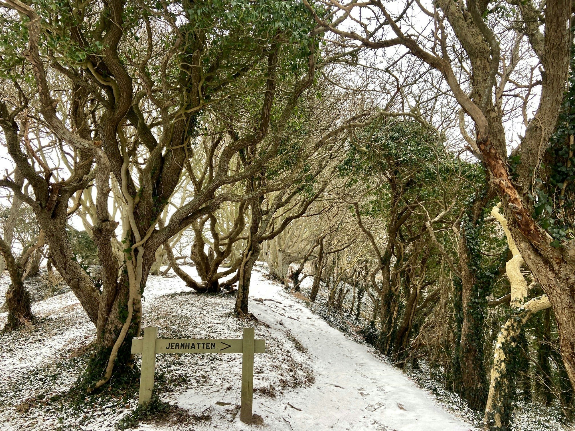 48 timer udenfor Aarhus: Nyd weekenden på Djursland
