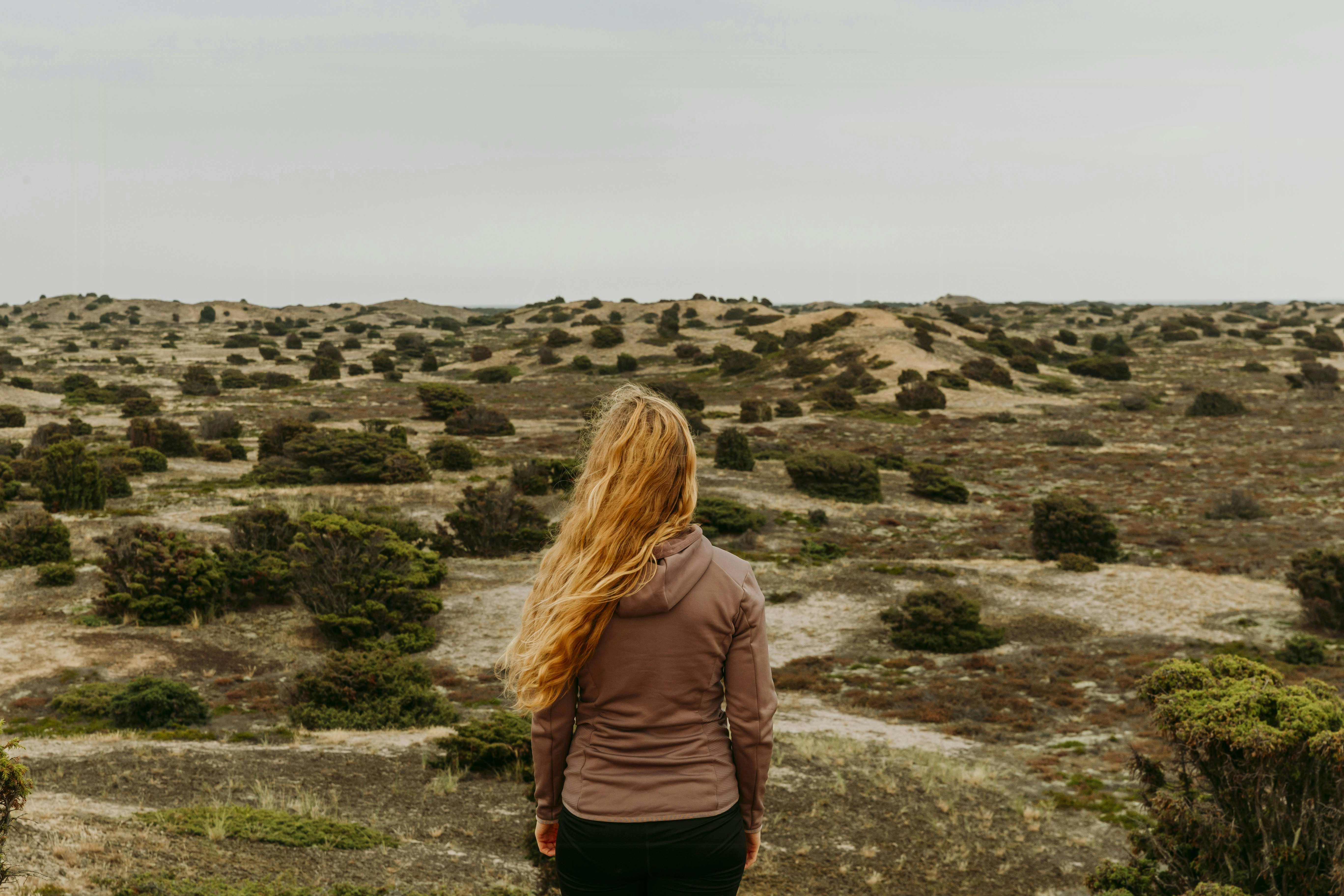 Få naturfotografen Sarah Greens anbefalinger til ekstraordinære naturoplevelser på øen Anholt cover image