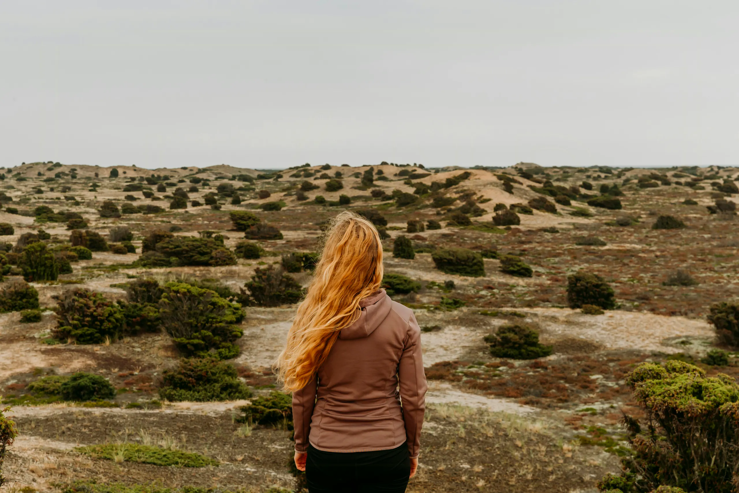Få naturfotografen Sarah Greens anbefalinger til ekstraordinære naturoplevelser på øen Anholt