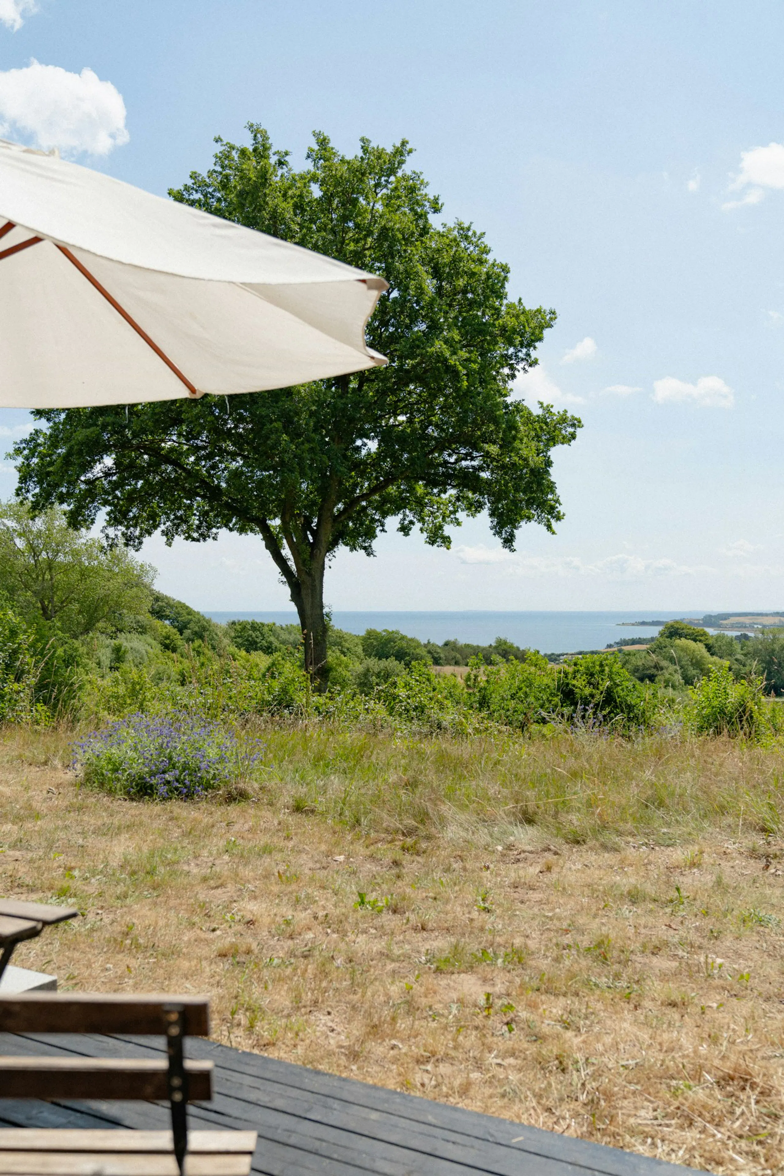 Wooden deck with bench and white parasol overlooking a grassy hillside, large tree, and distant sea under a blue sky