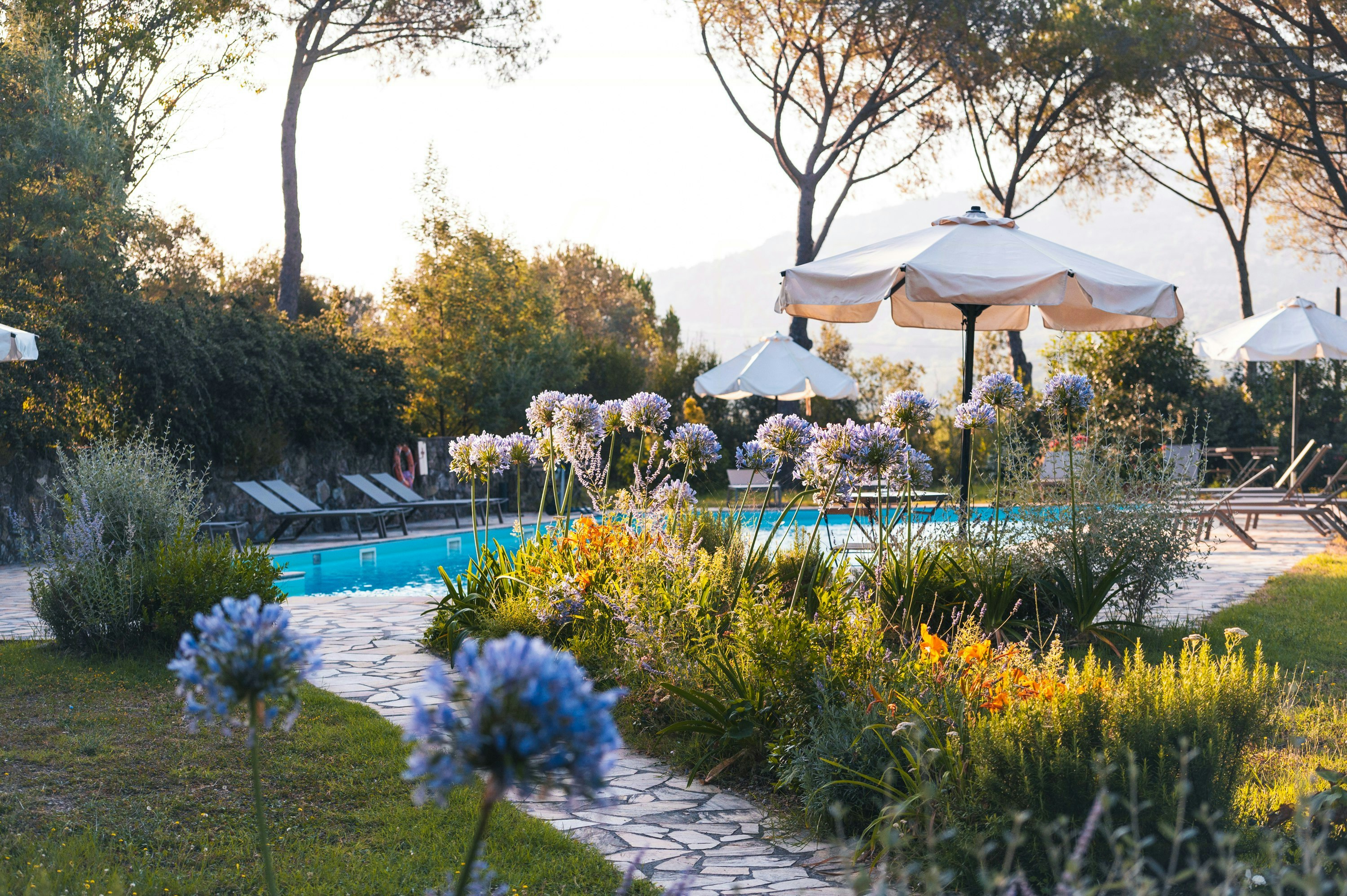 Grosetto cover image