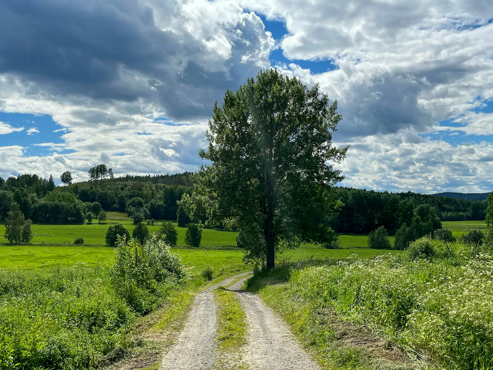 Naturnära Ateljé vid Höga Kusten – bild 23 av 24