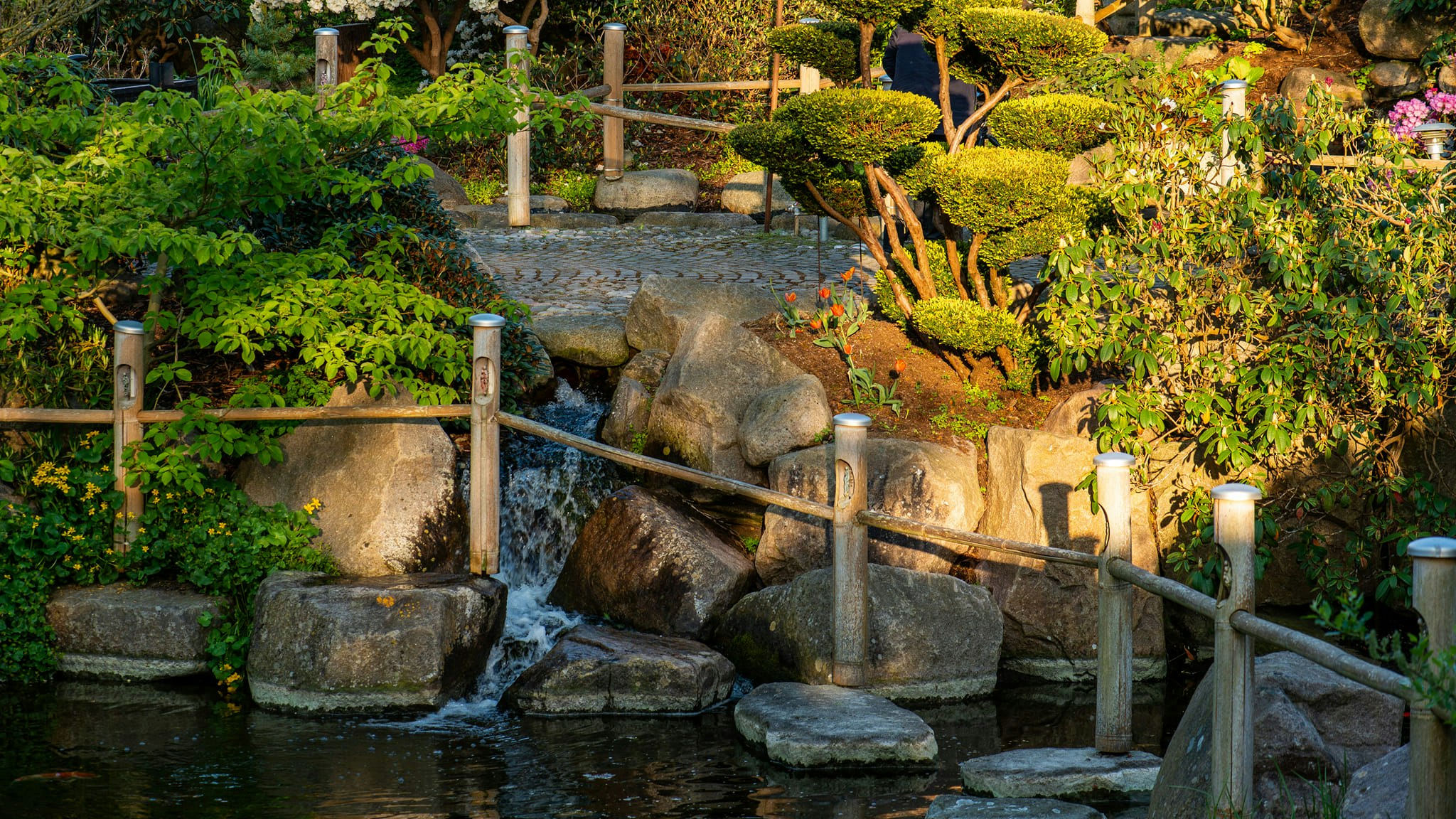 Zen Garden