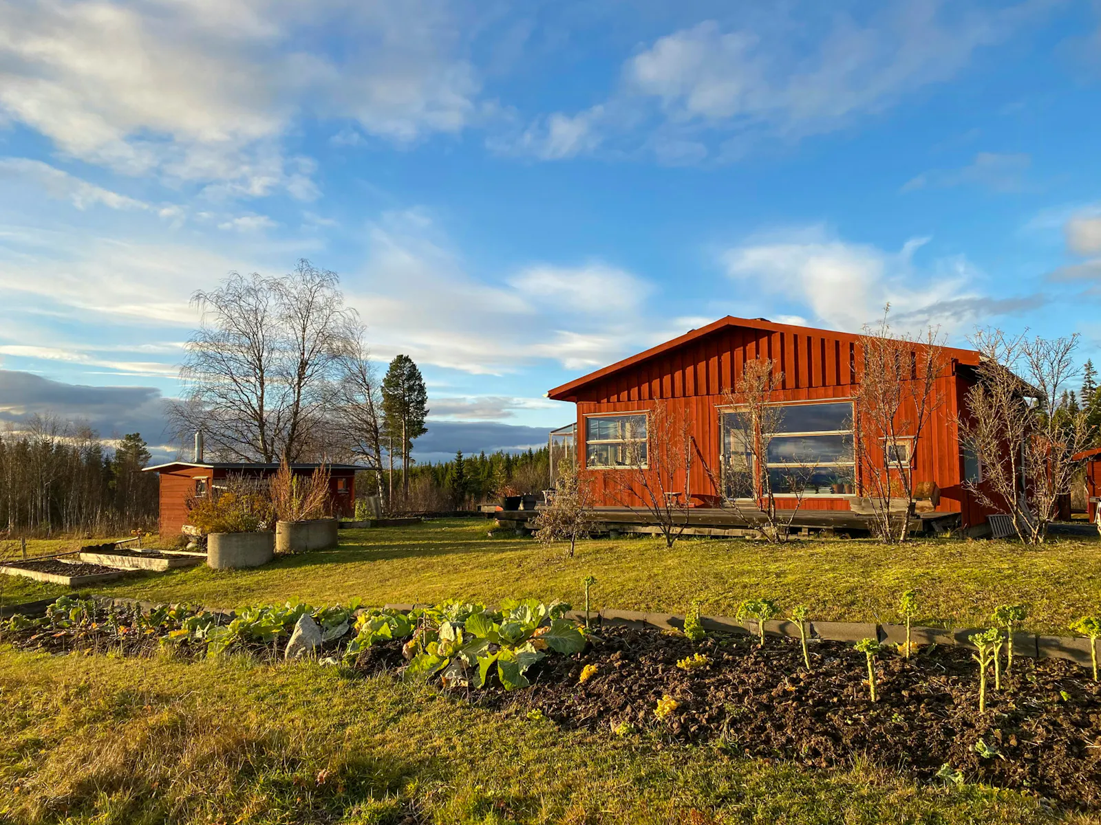 Ekohus med fjällutsikt i Högåsen nära Åre – bild 19 av 21