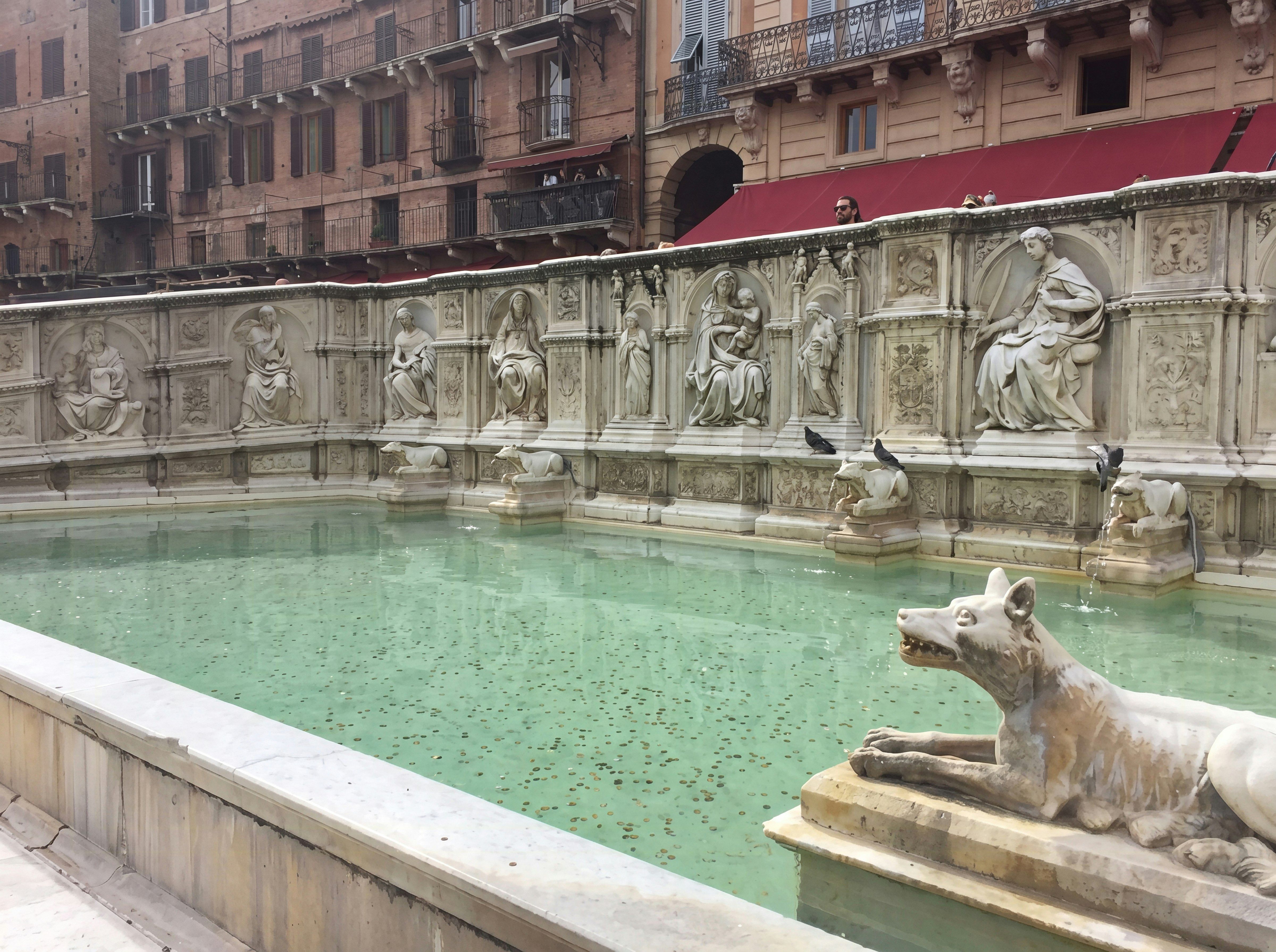 Siena er verdenskendt