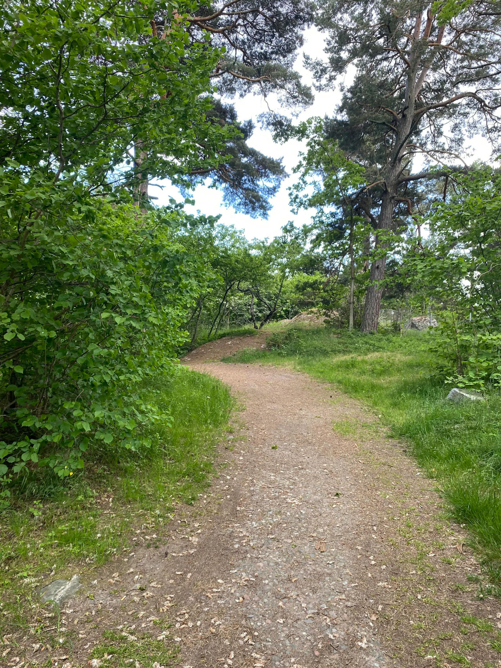 Stuga vid havet på Djurö – bild 20 av 22