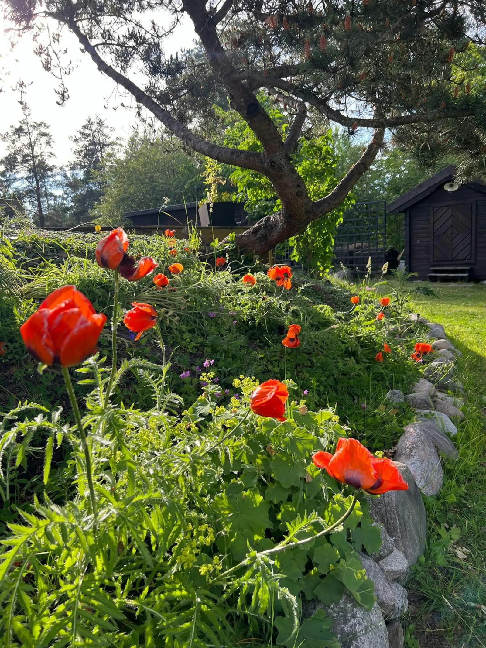 Sekelskiftsvilla vid Skogsö naturreservat – bild 20 av 23