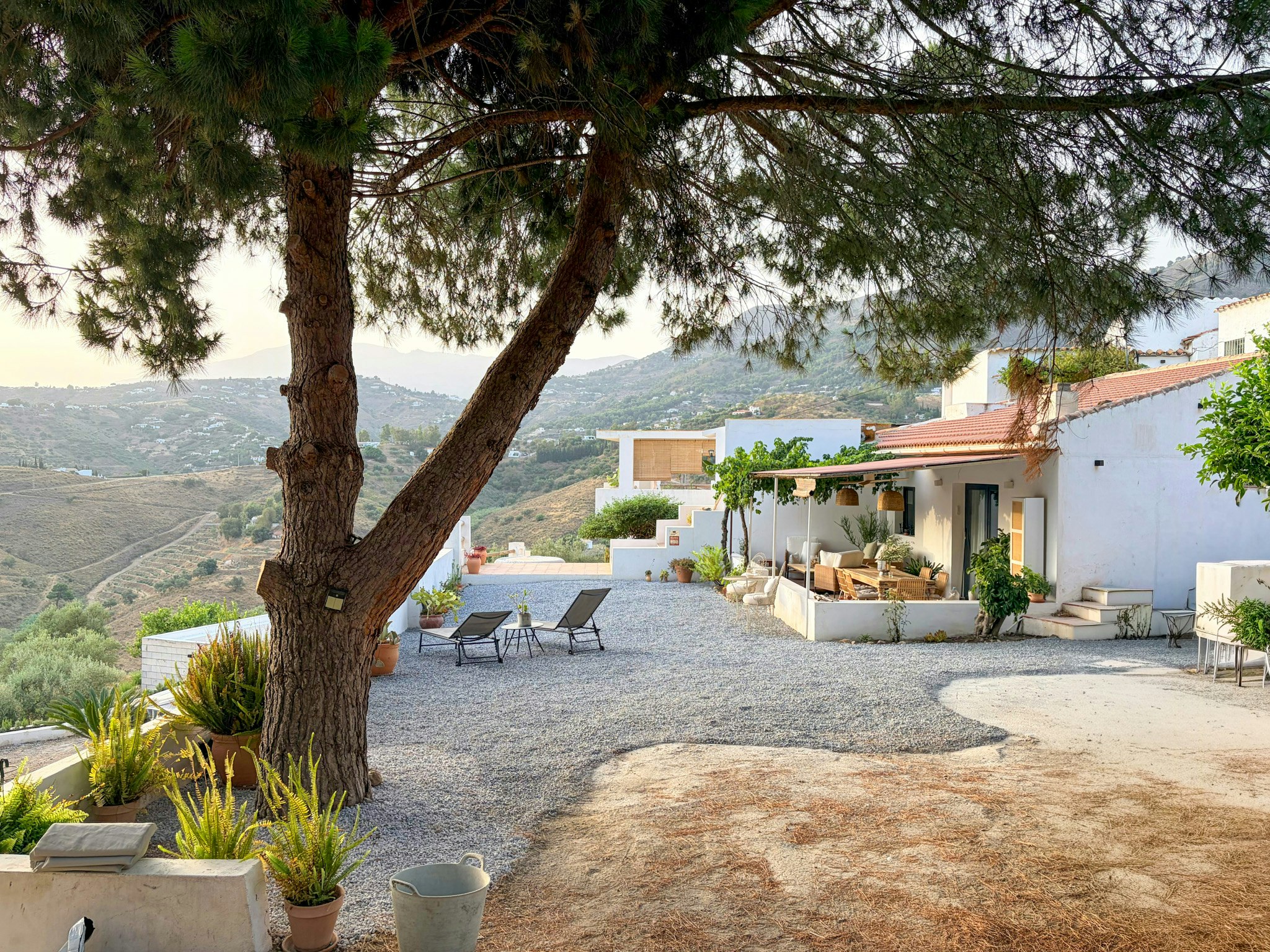 Torrox cover image