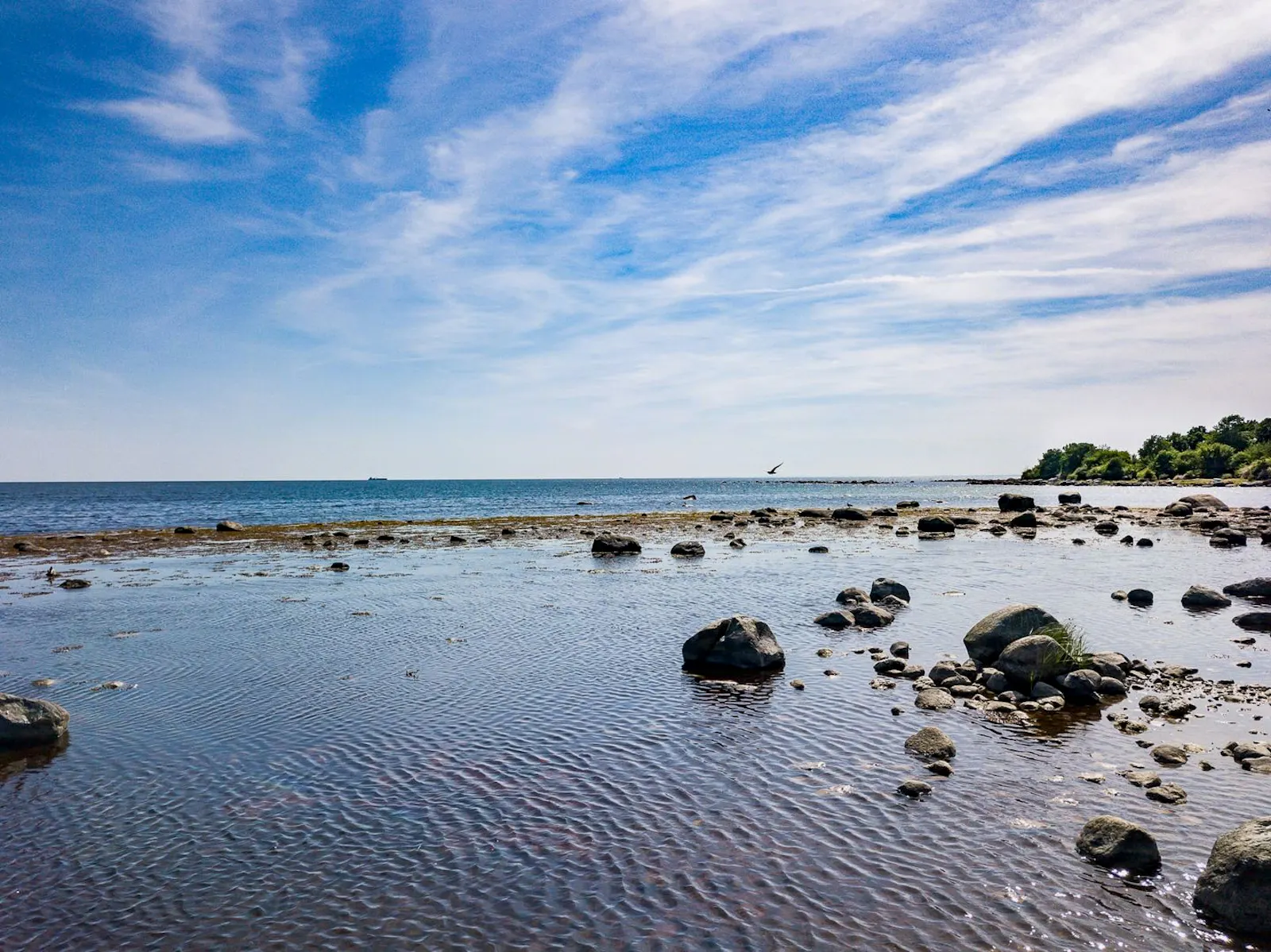 Nybyggt arkitektritat hus vid havet i Sandviken – bild 20 av 23