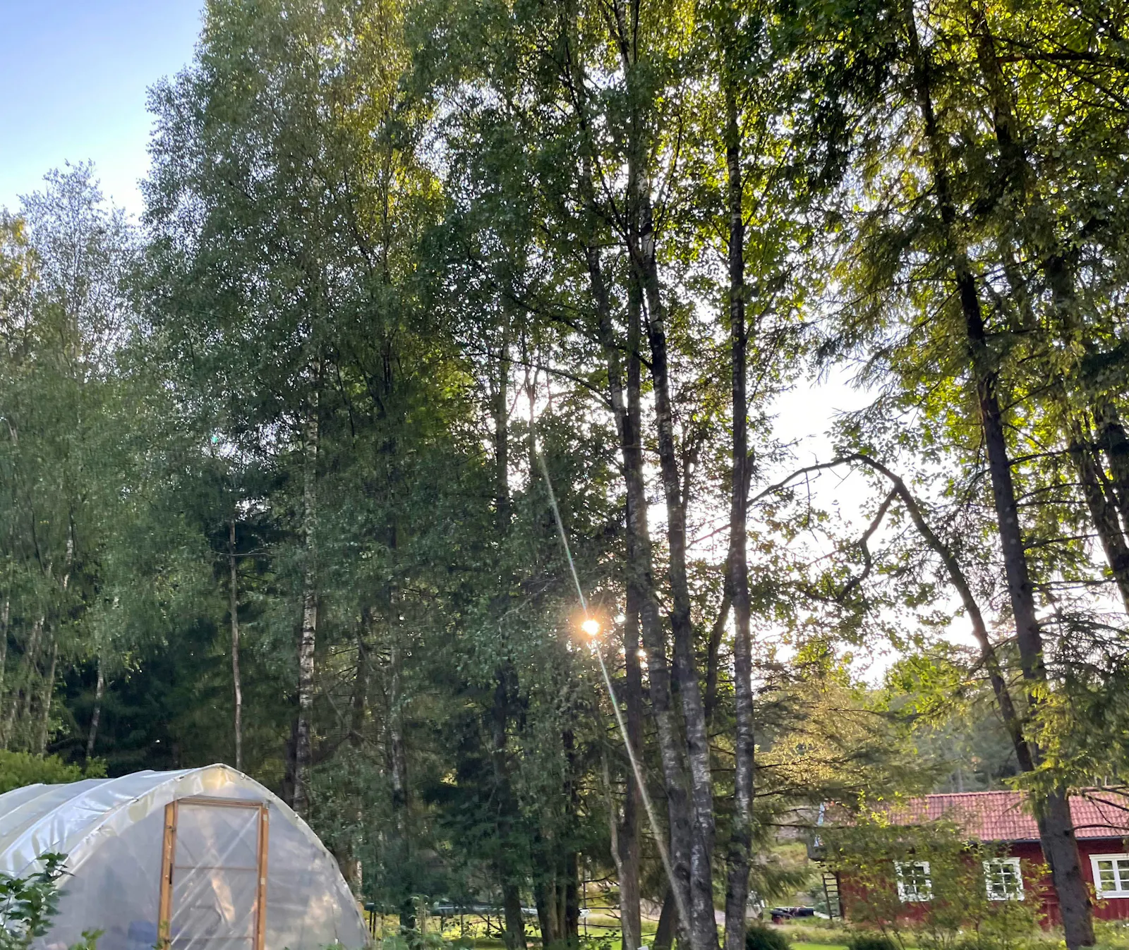 Skogsstuga nära havet på Orust – bild 24 av 24