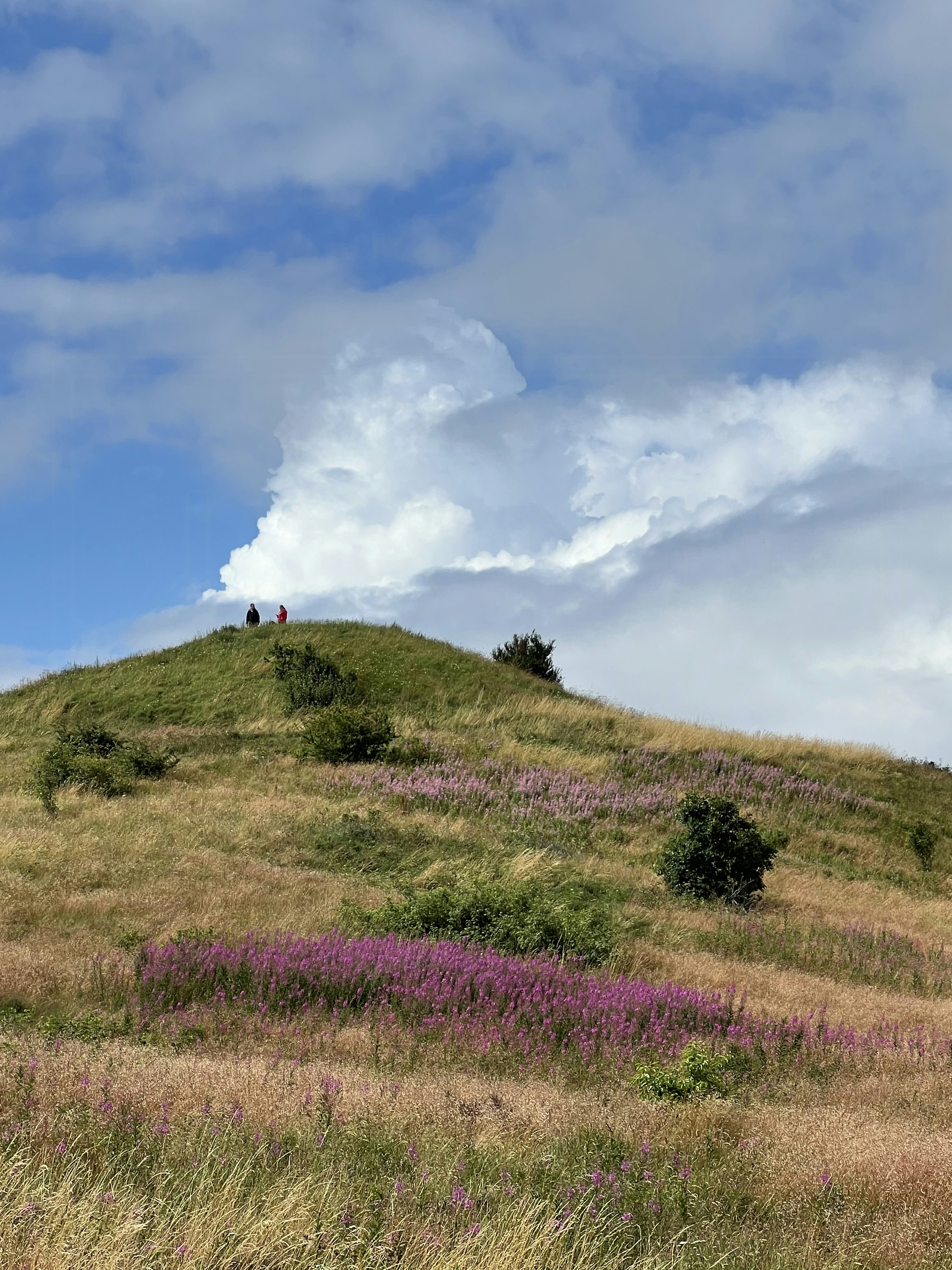 Travel, taste, experience: Entdecke den Nationalpark Mols Bjerge