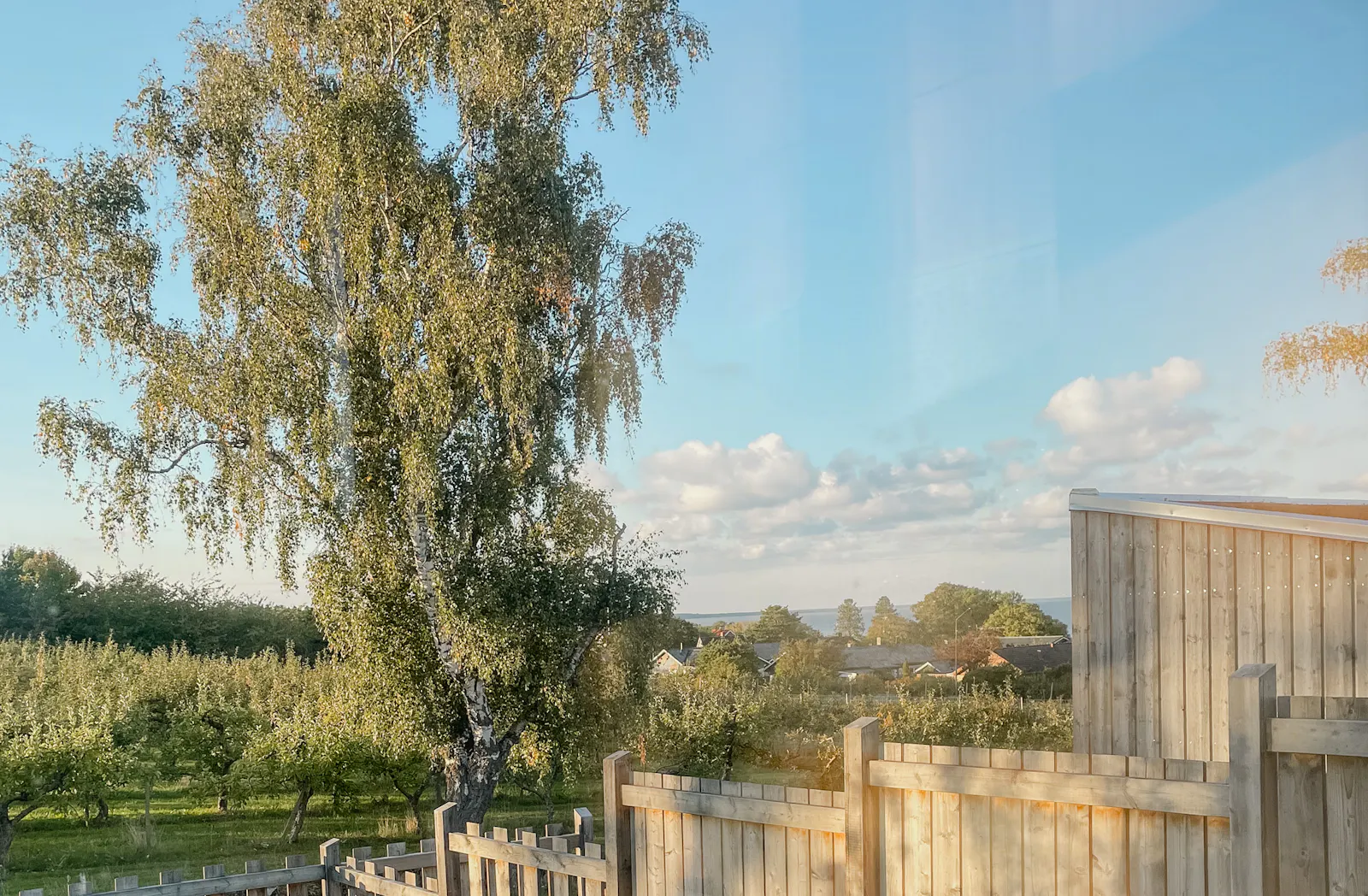 Modernt trähus bland äppelträd med havsutsikt – bild 20 av 21