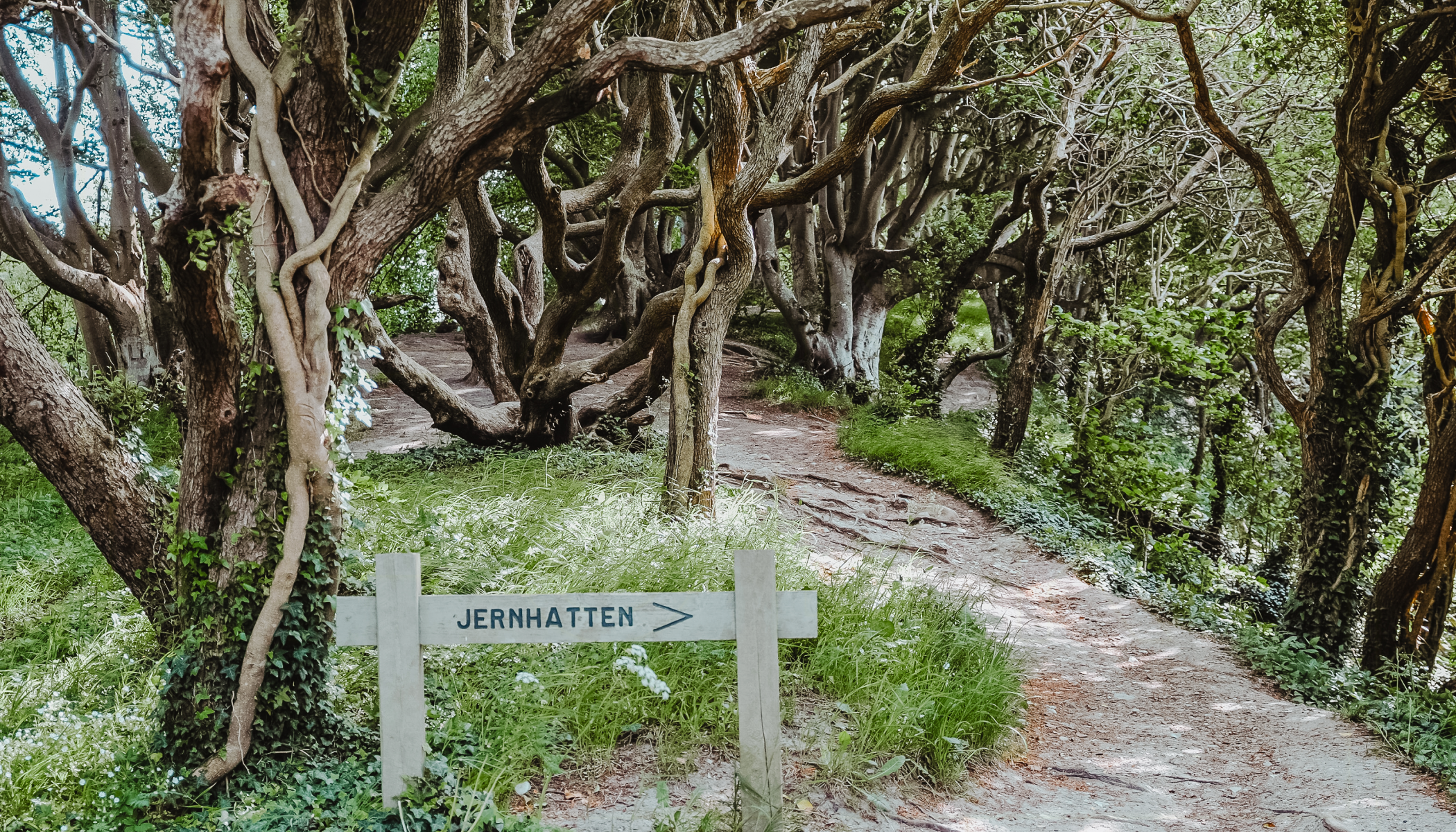 Jernhatten on Djursland