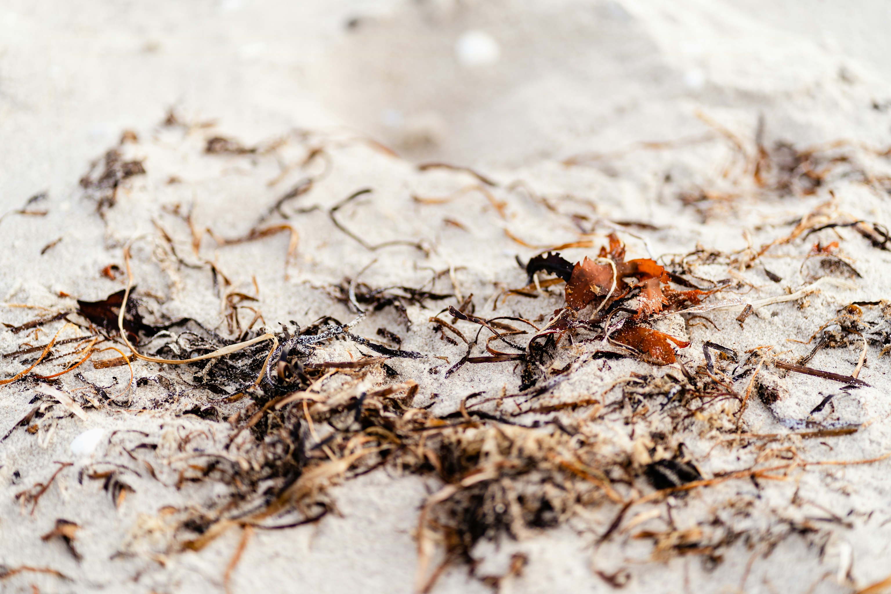 7 events i sommerlandet, du ikke må gå glip af