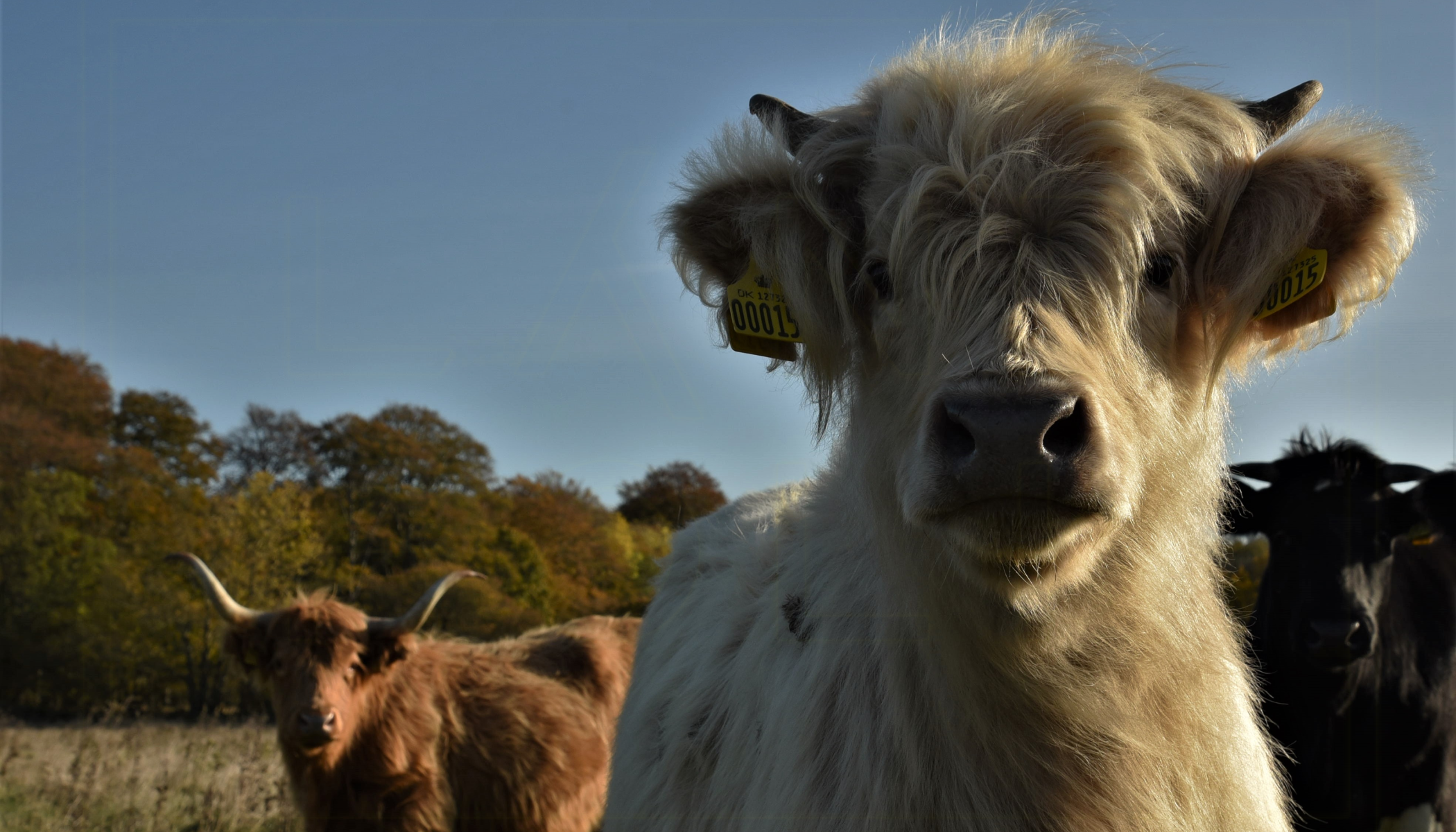Naturstandort Skovsgaard
