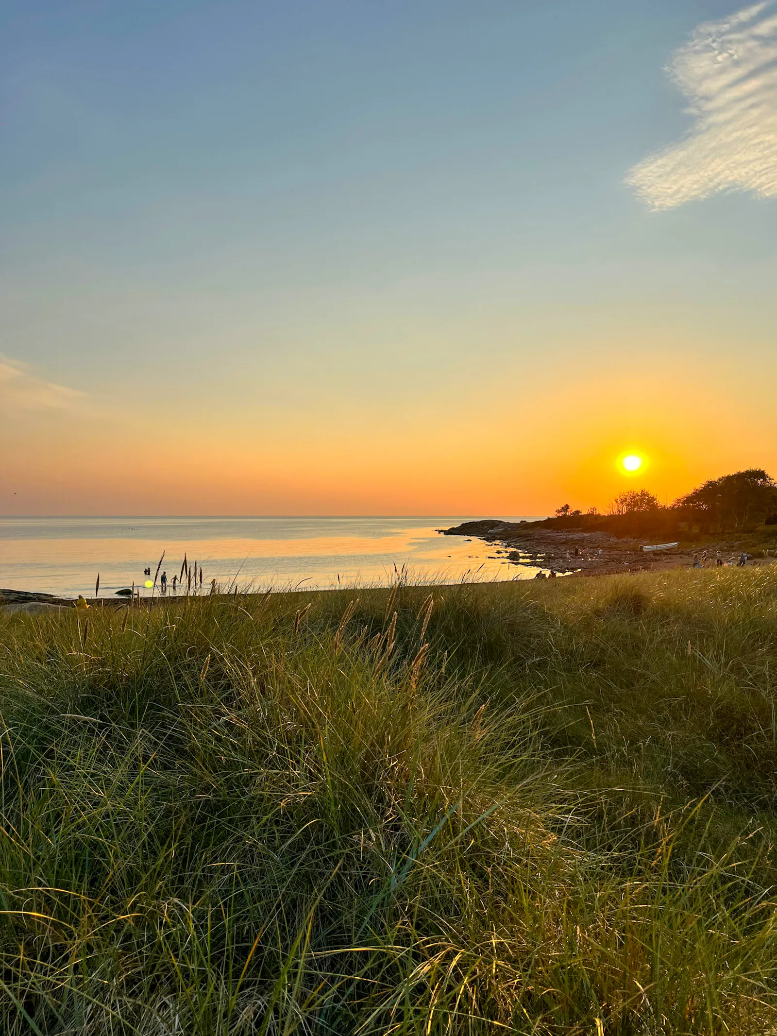 Stuga i lungt område nära havet – bild 18 av 24