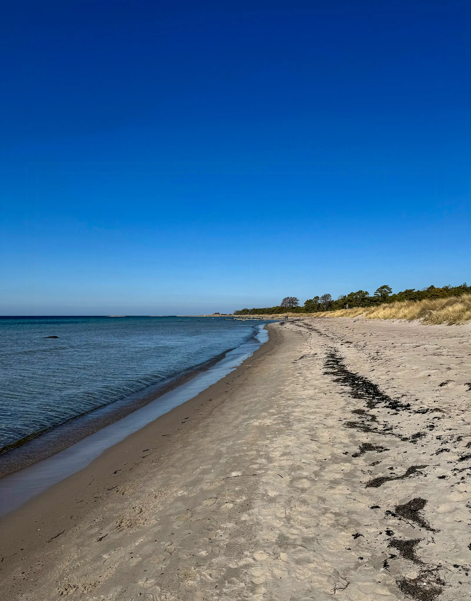 Modernt radhus med sol och uteplats på Gotland – bild 4 av 17