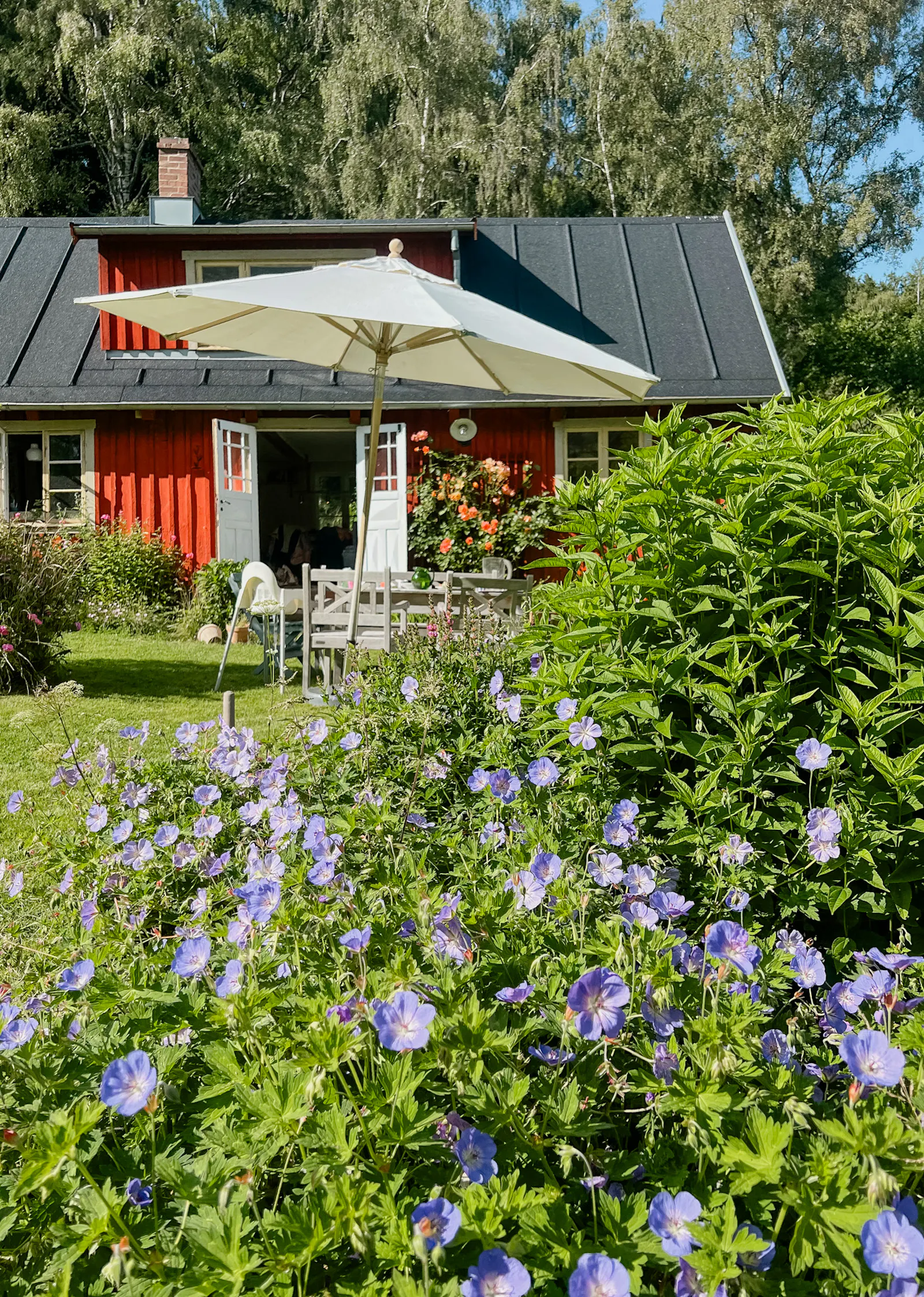 Faluröd stuga från 1800-talet på Bjärehalvön – bild 4 av 24