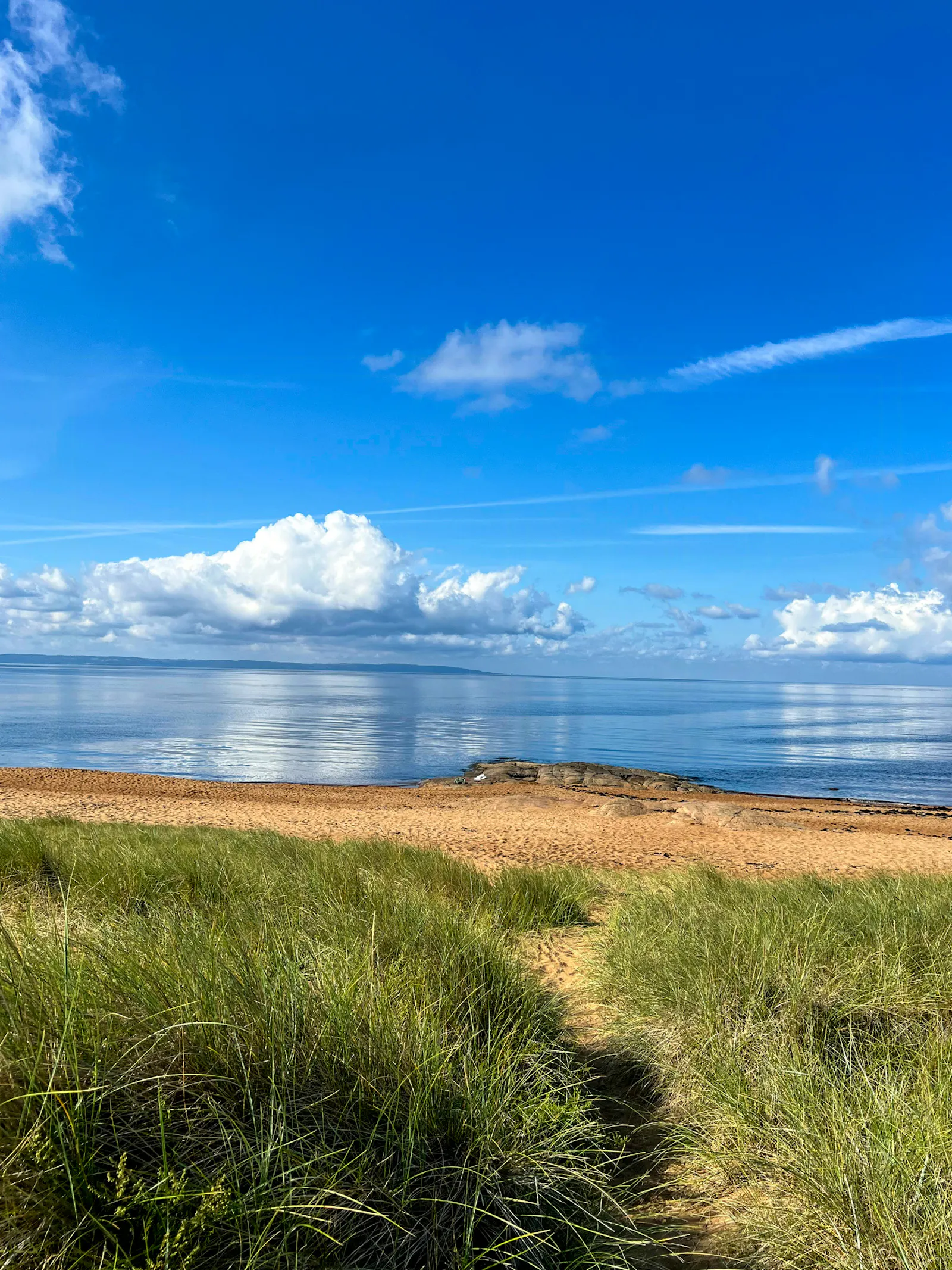 Stuga i lungt område nära havet – bild 20 av 24