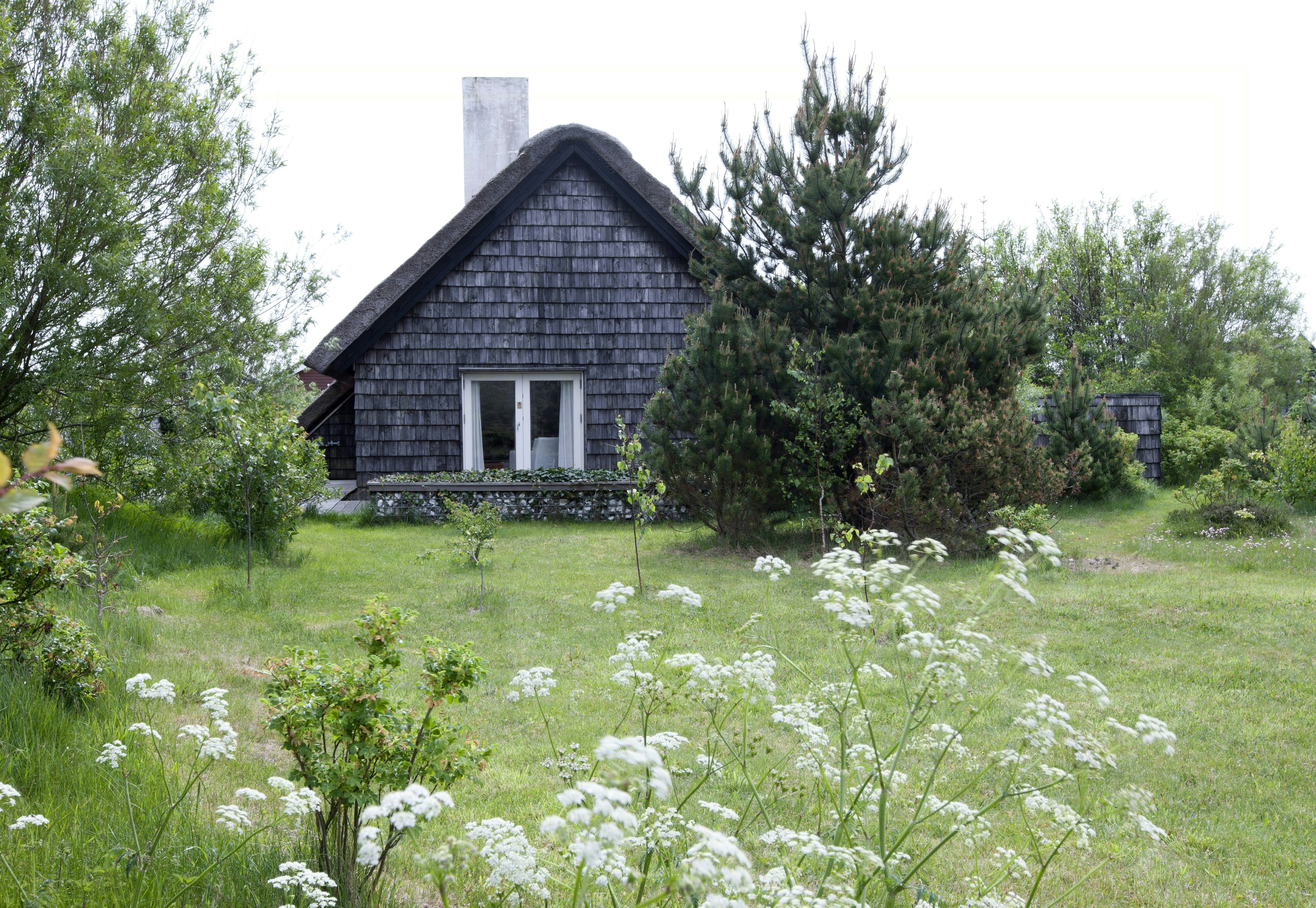 Vorupør cover image
