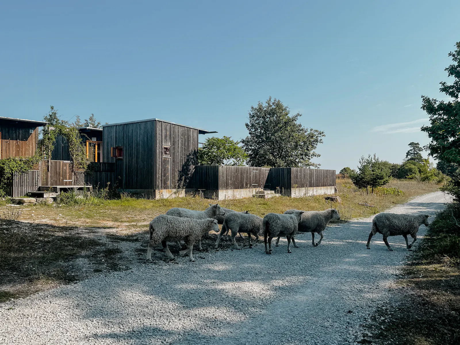 Arkitektritat hus på klippkanten vid Bungenäs – bild 3 av 21