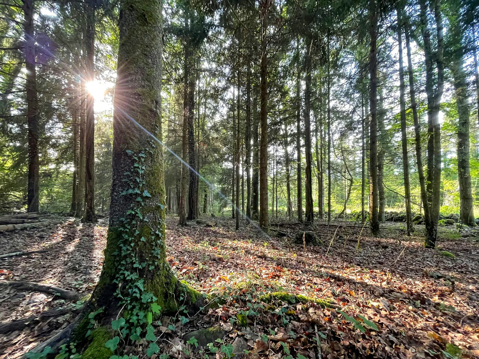 Nybyggt trähus på Öland med panoramafönster – bild 18 av 23