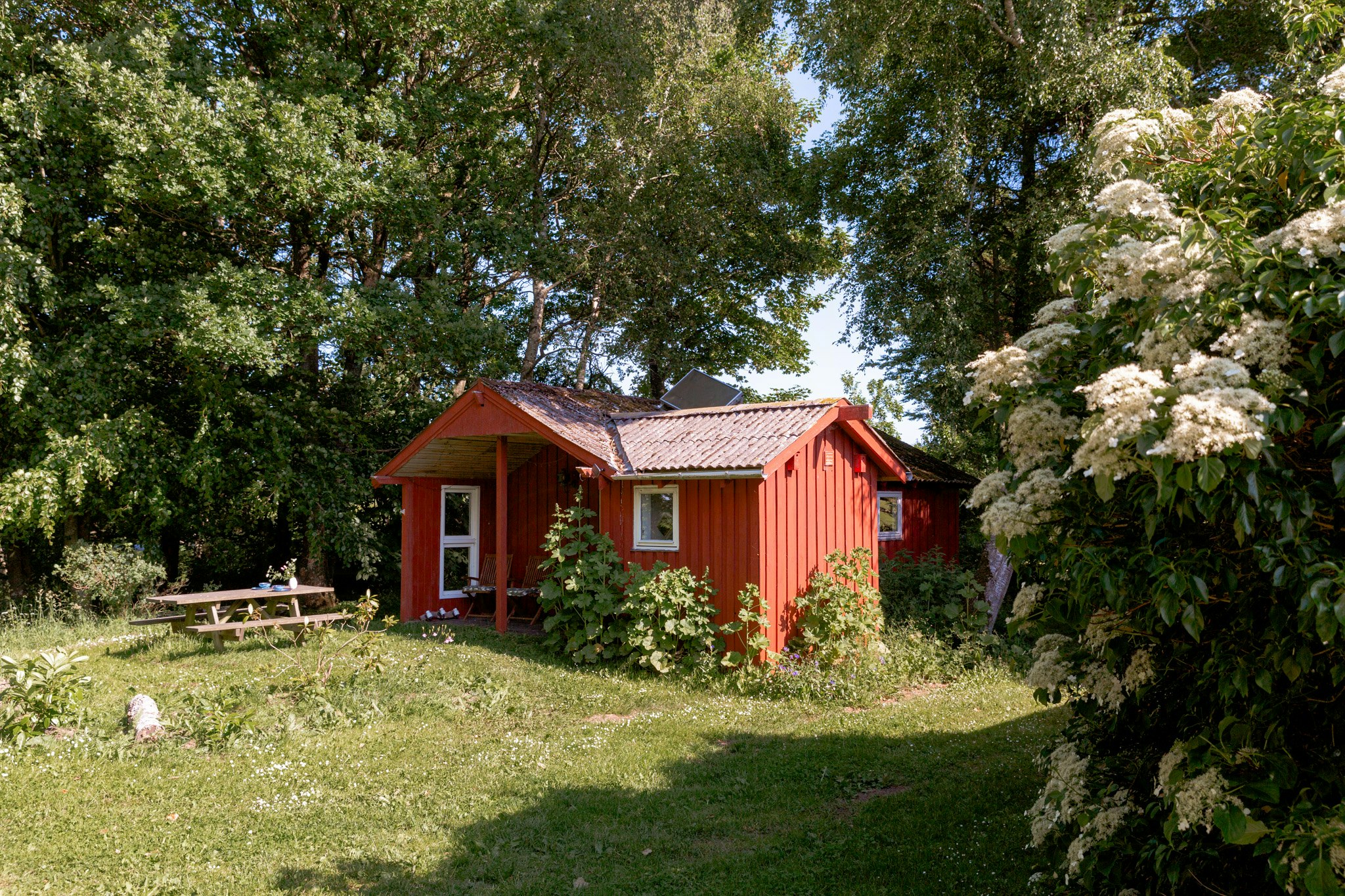 Guide: 3 outdoor aktiviteter i Nordsjælland, du må kaste dig over