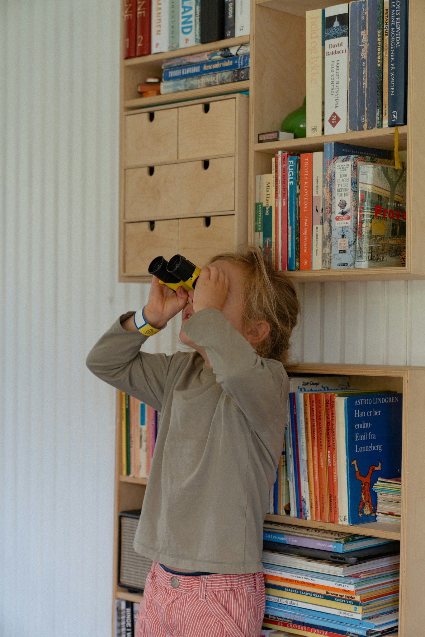 Anamma det analoga livet