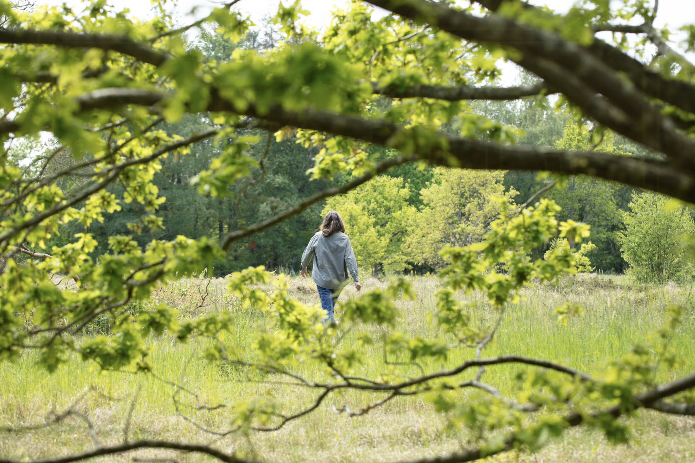 In wilder Natur: Reiseführer für die Hügel von Odsherred