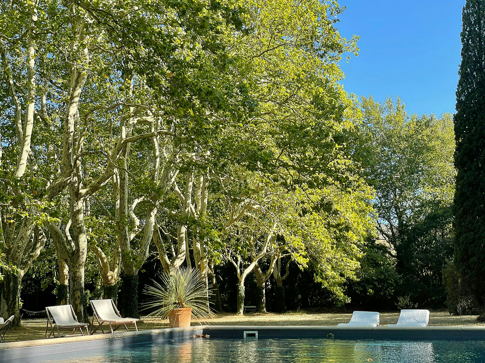 Val-de-Dagne cover image