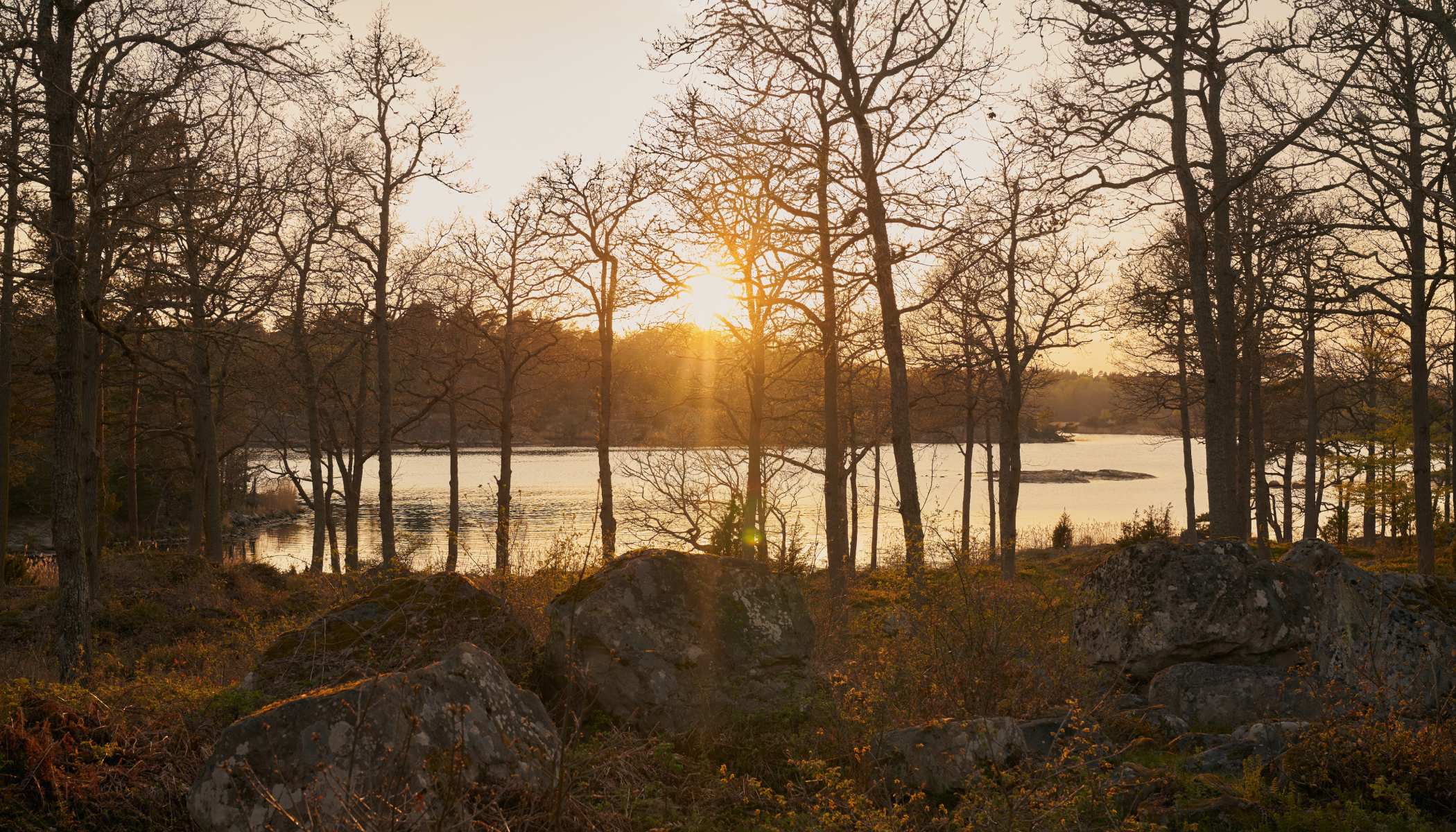 View over lake