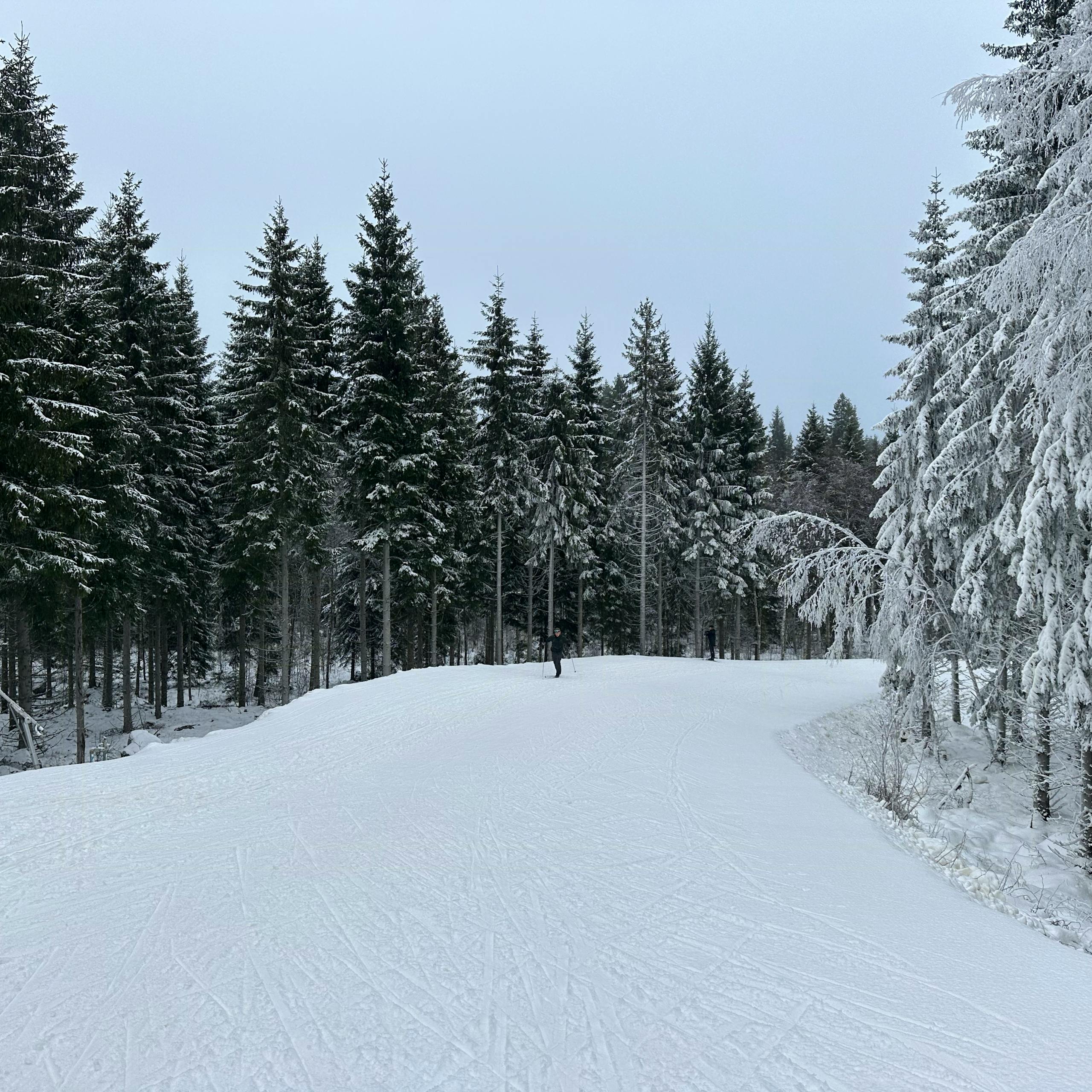 Join Amalie's cross-country skiing holiday in Sweden