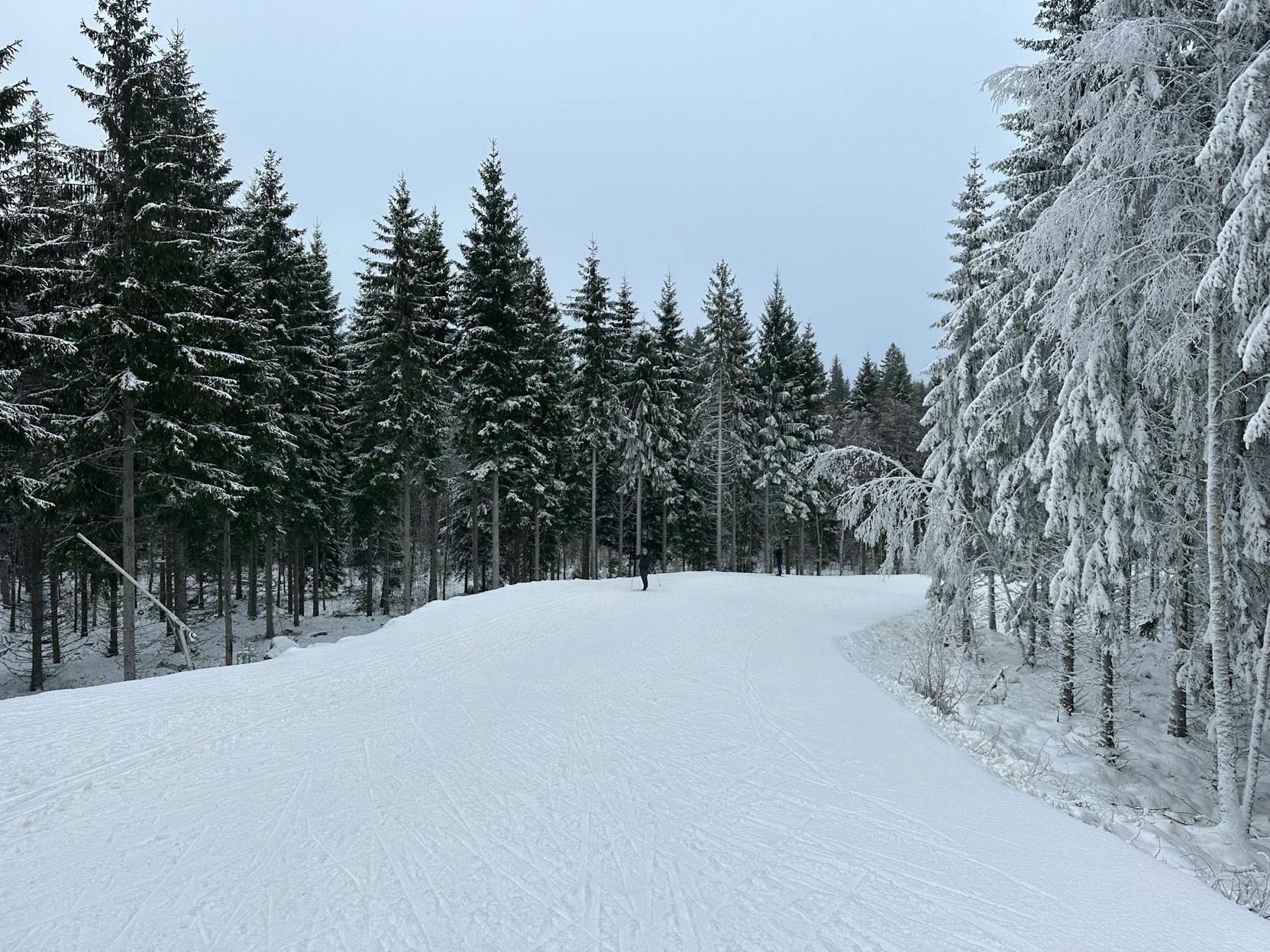 Join Amalie's cross-country skiing holiday in Sweden