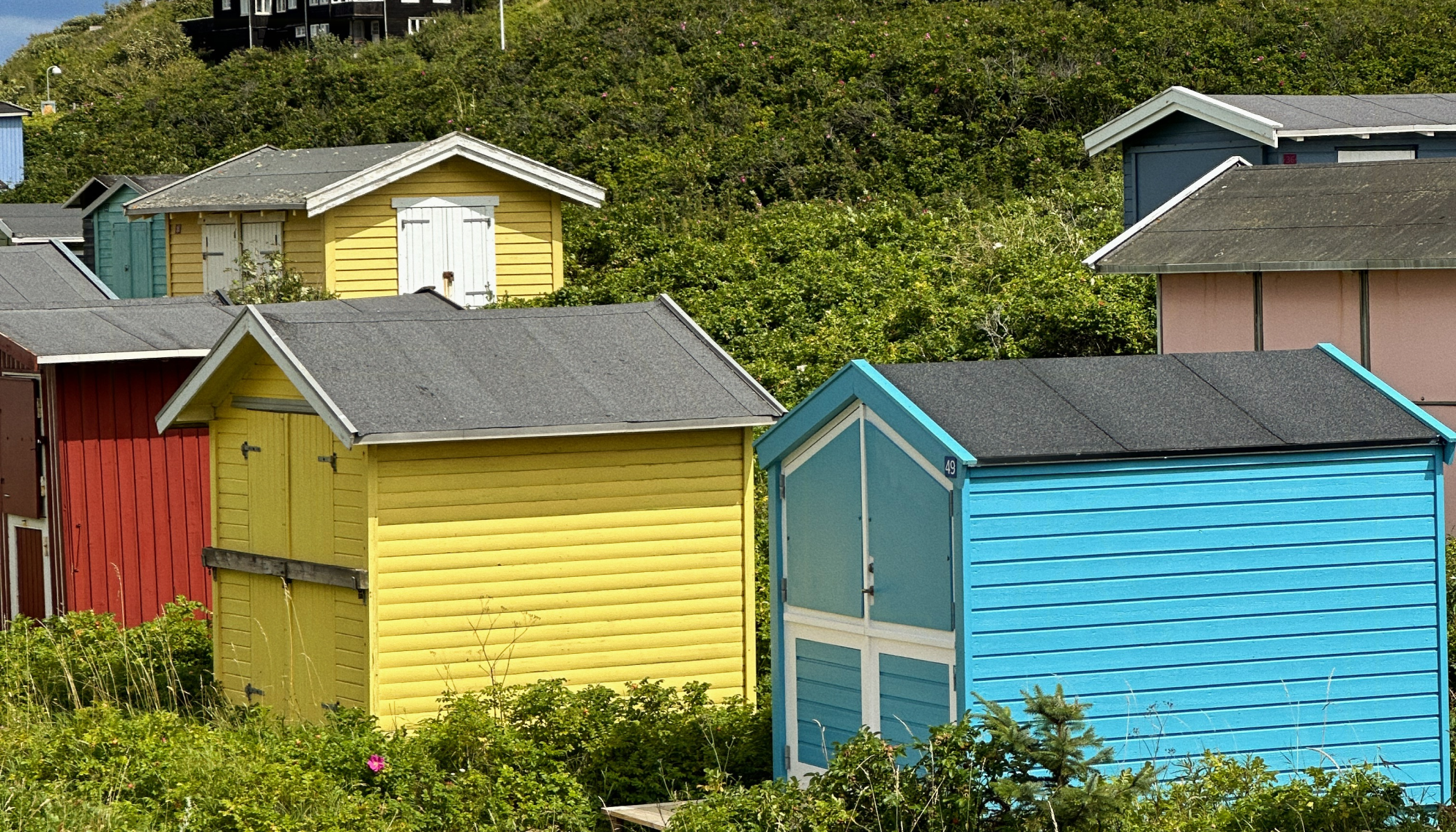 Discover North Zealand