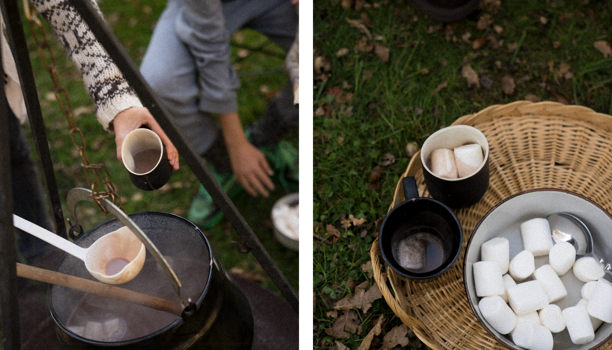 альтернативный текст