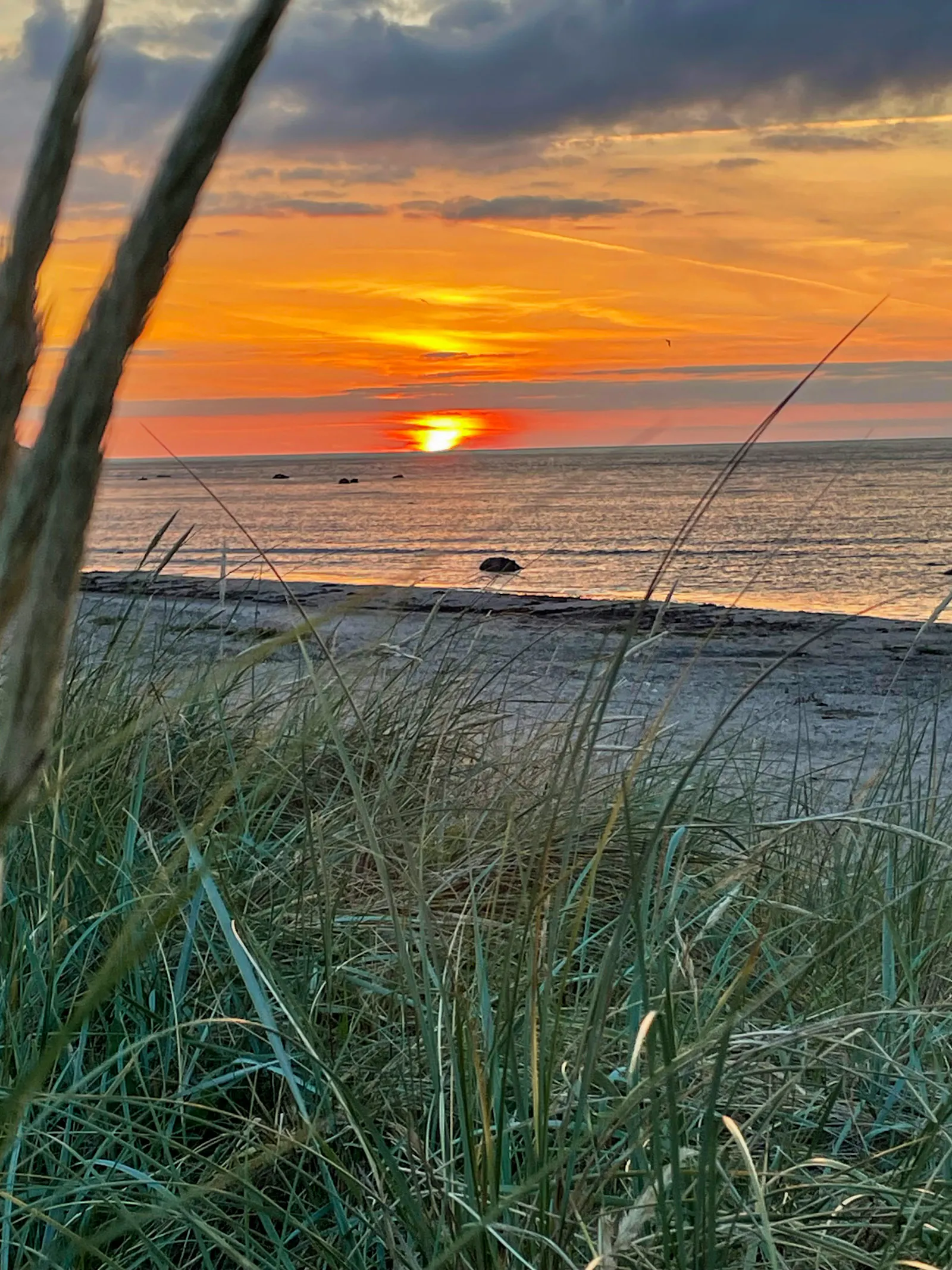 Lugn oas nära havet i Båstad – bild 19 av 20