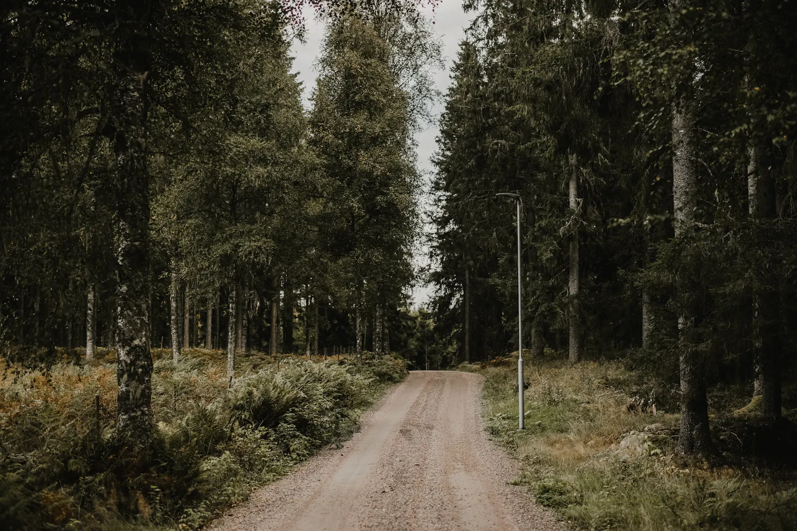Renoverad ladugård från 1850 i Smålands skogar – bild 21 av 24