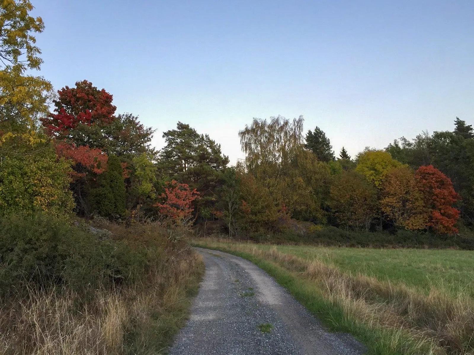 Trähus med tre uteplatser på Torö – bild 19 av 21