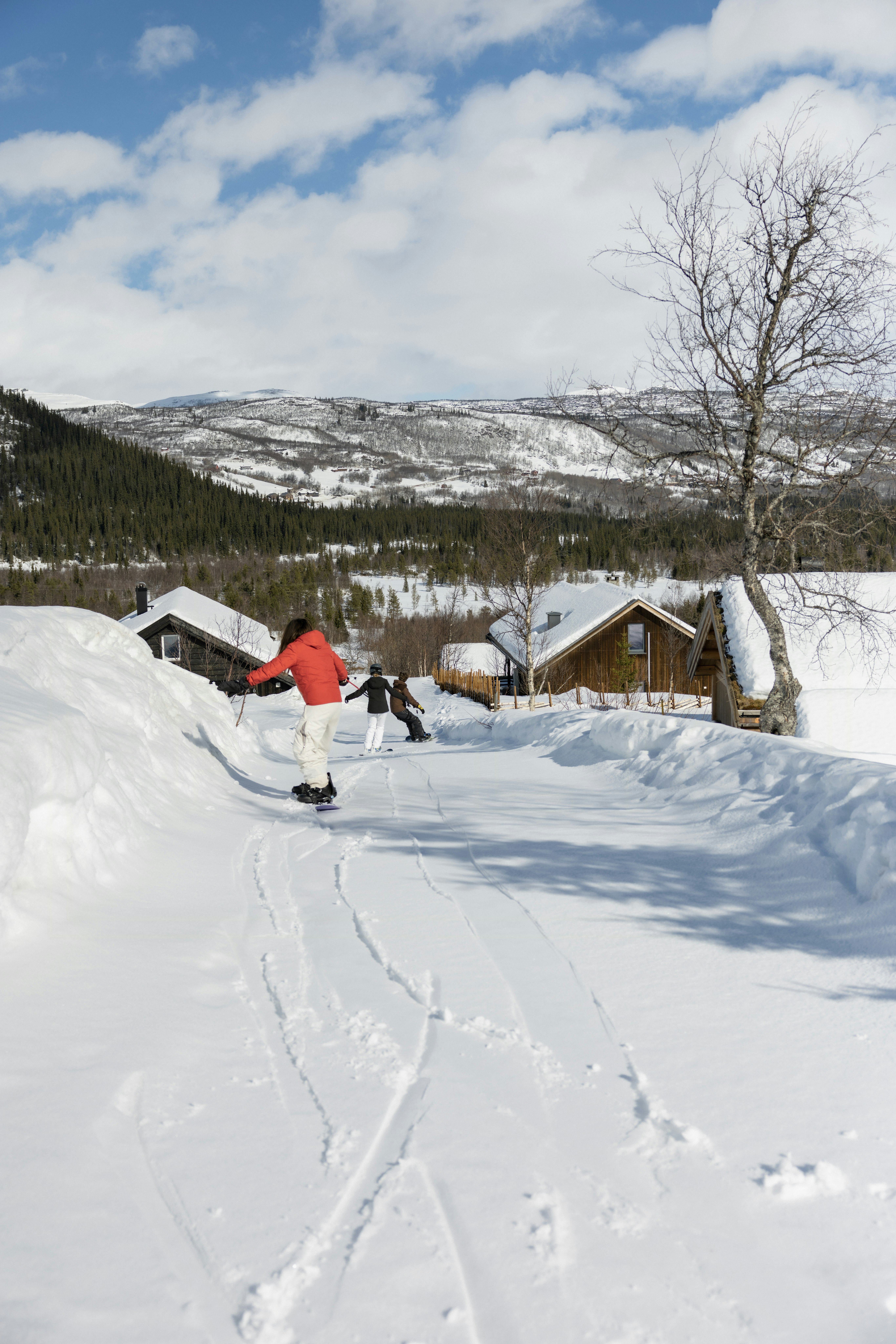 Ski-in/ski-out cover image