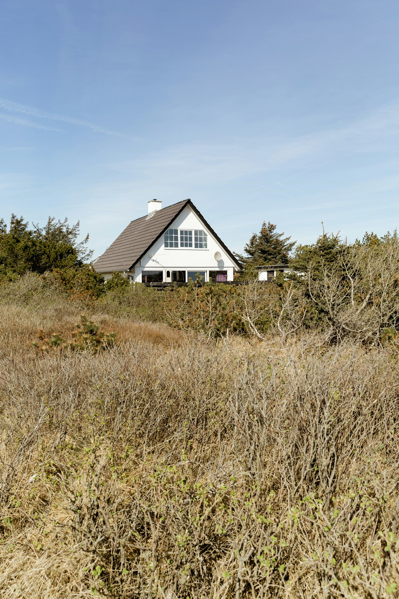 Skodbjerge cover image