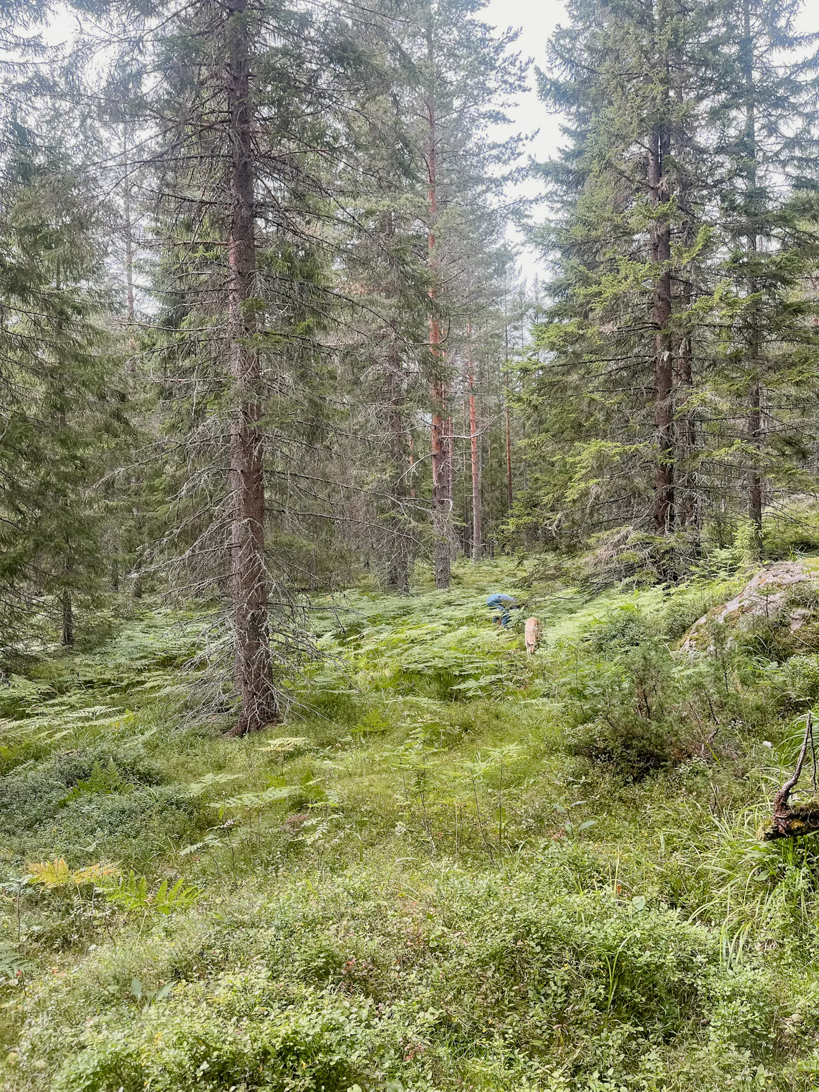 Lantlig stuga för kreativa själar vid Lingbosjön – bild 20 av 24