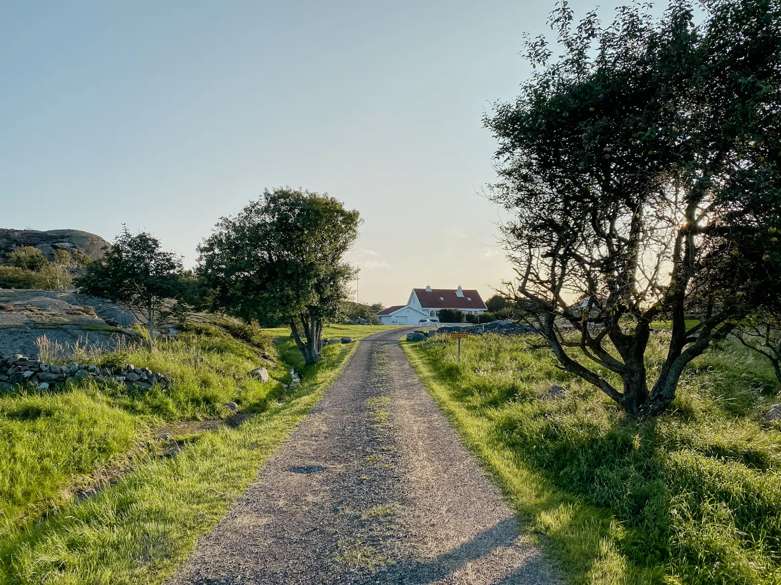 Björholmens havsoas: en idyll vid kusten – bild 15 av 18