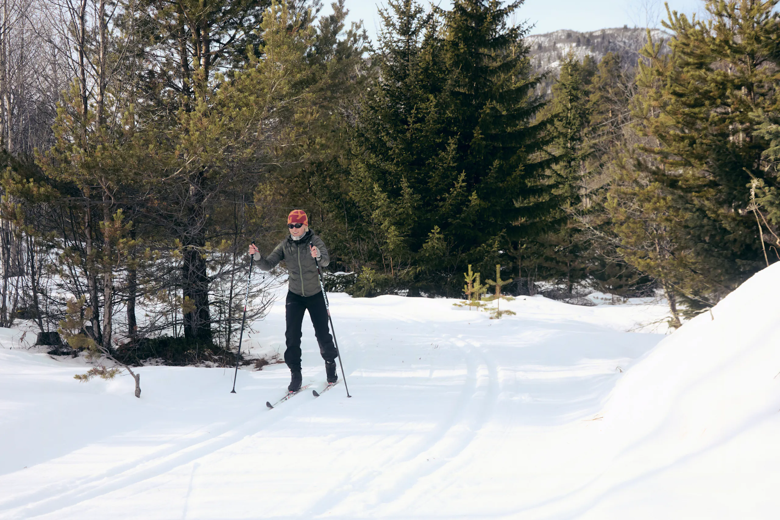 Person cross-country skiing on a snowy trail surrounded by pine trees and winter forest