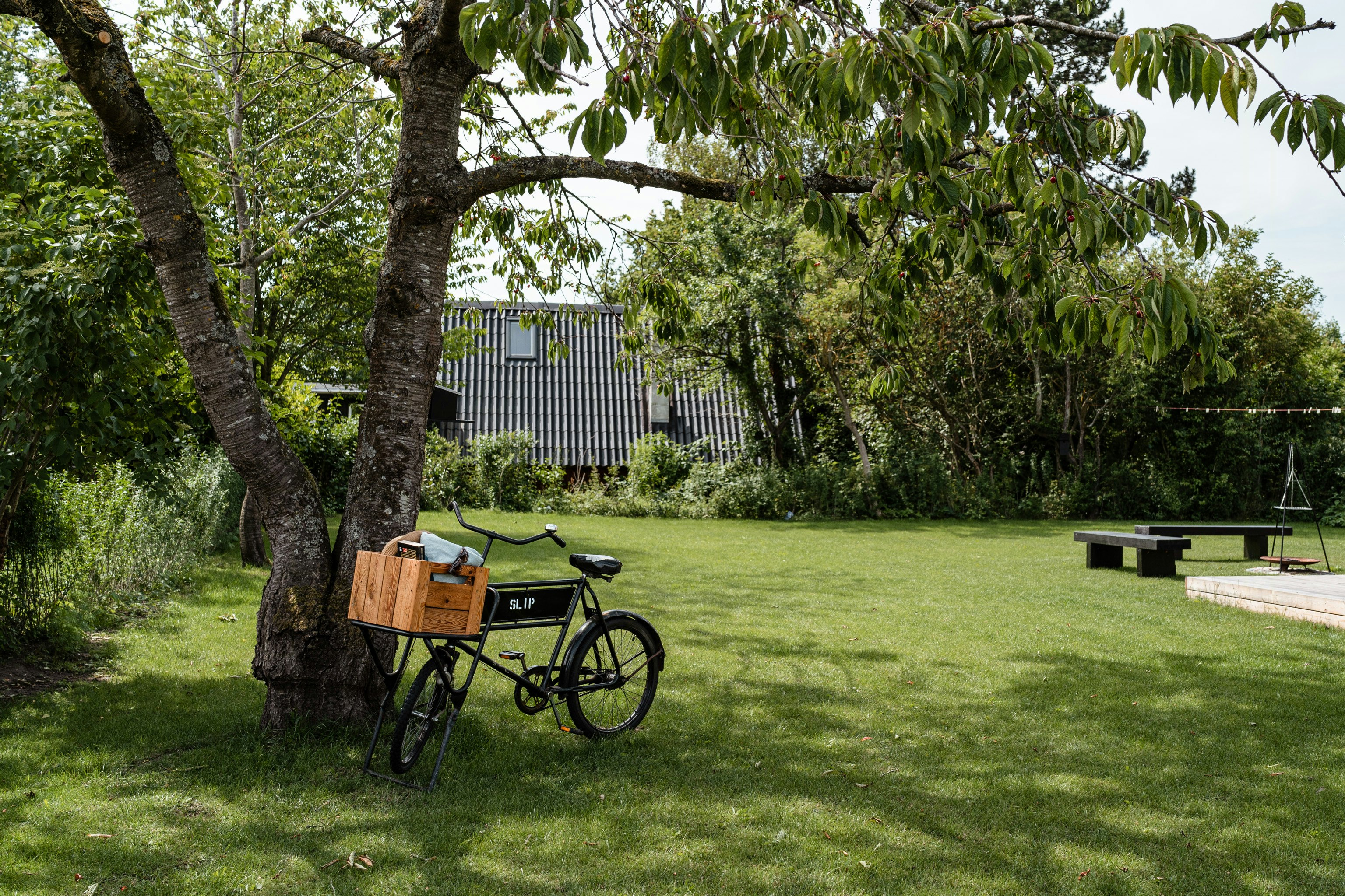 Hop på cyklen: 5 naturskønne cykelruter i Odsherred