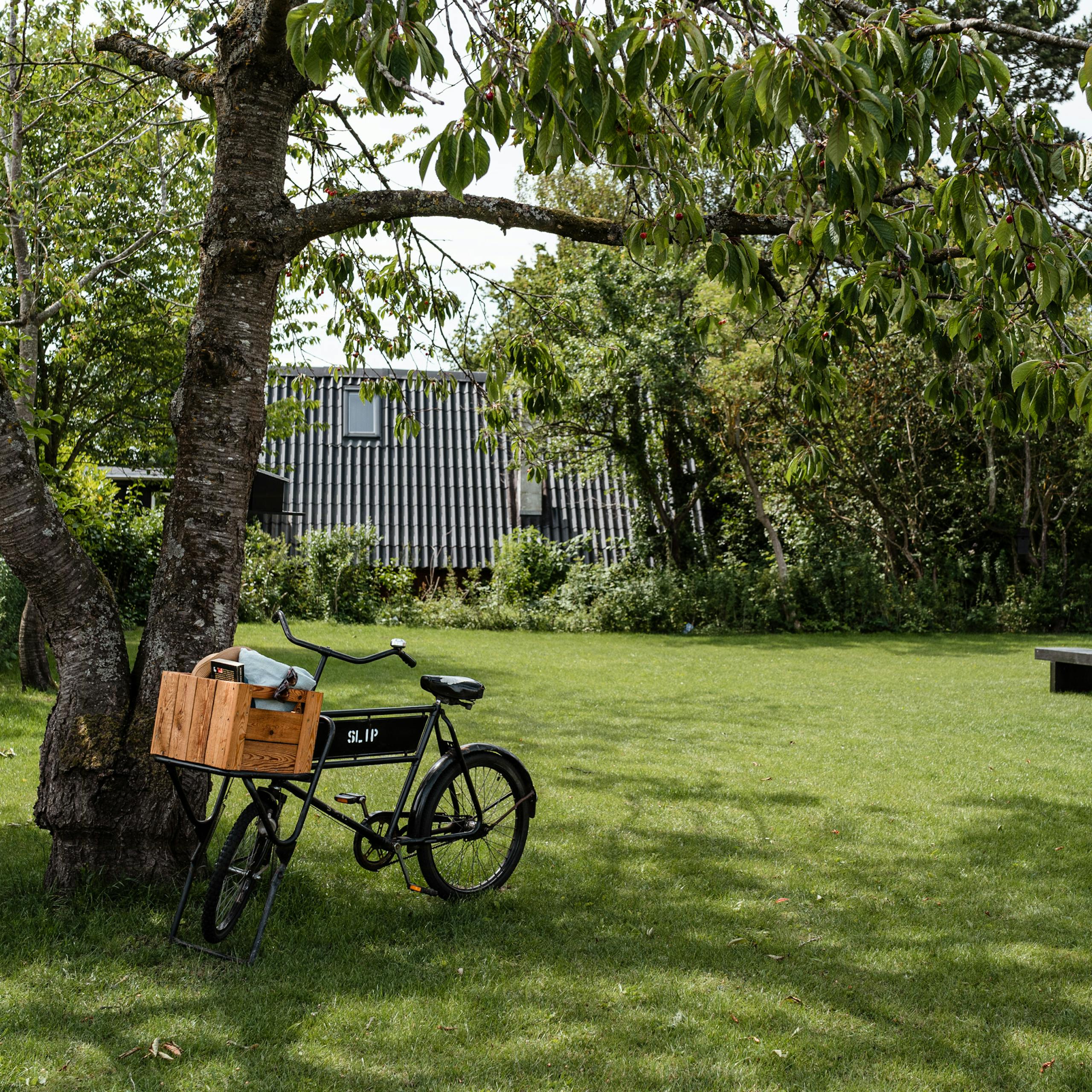 Hop på cyklen: 5 naturskønne cykelruter i Odsherred