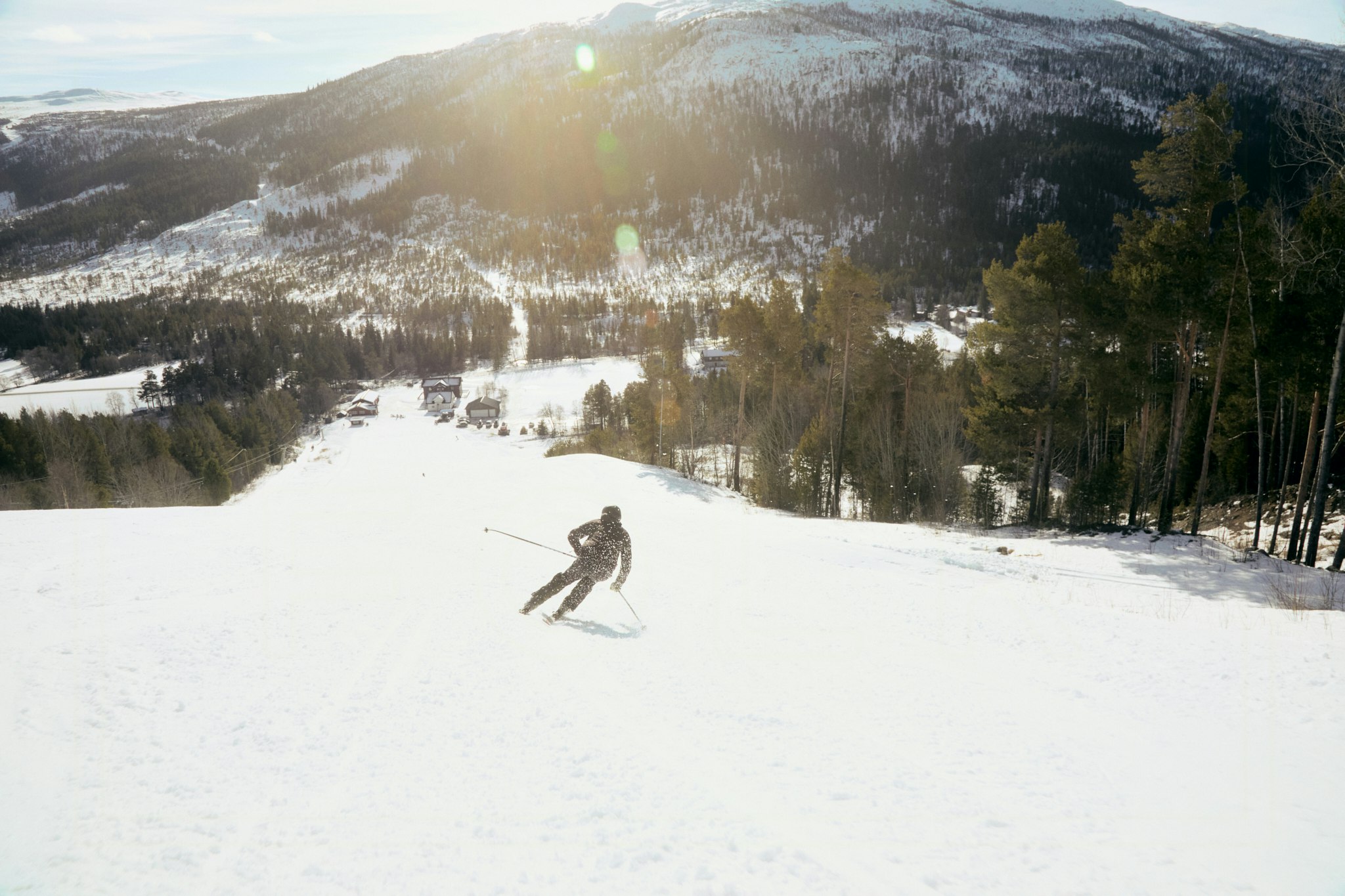 Skier carving down a snowy mountain slope with pine trees, a distant valley, and sunlit mountains in the background