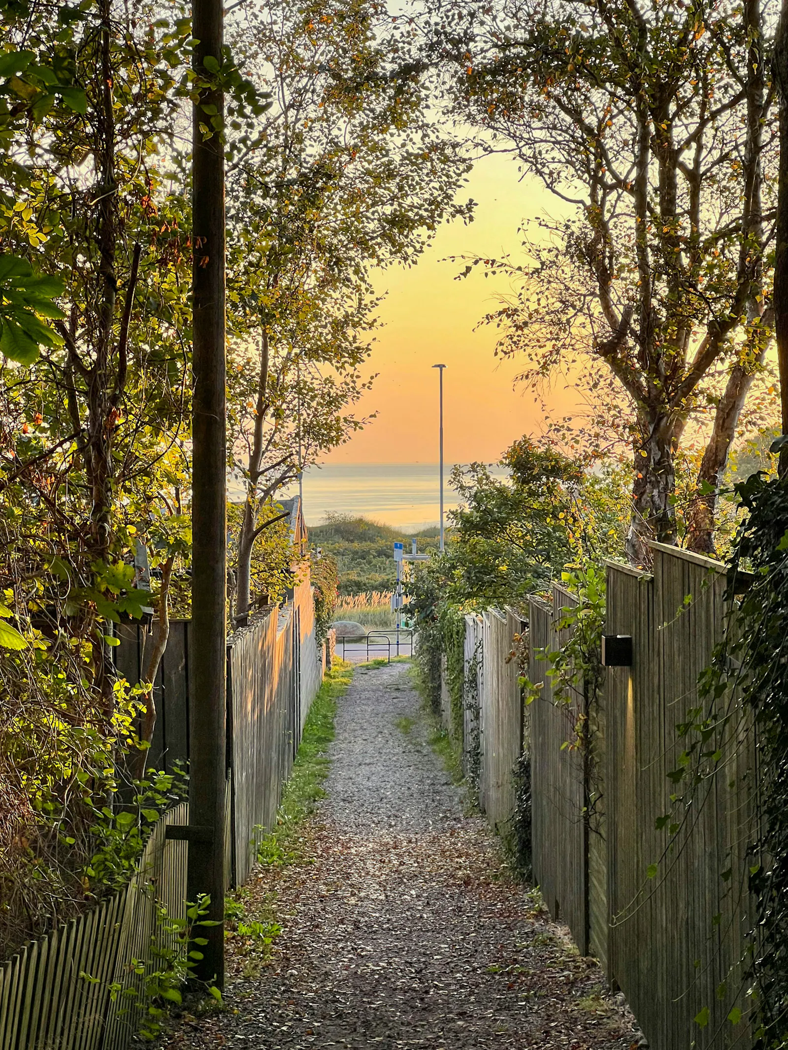 Stuga i lungt område nära havet – bild 17 av 24