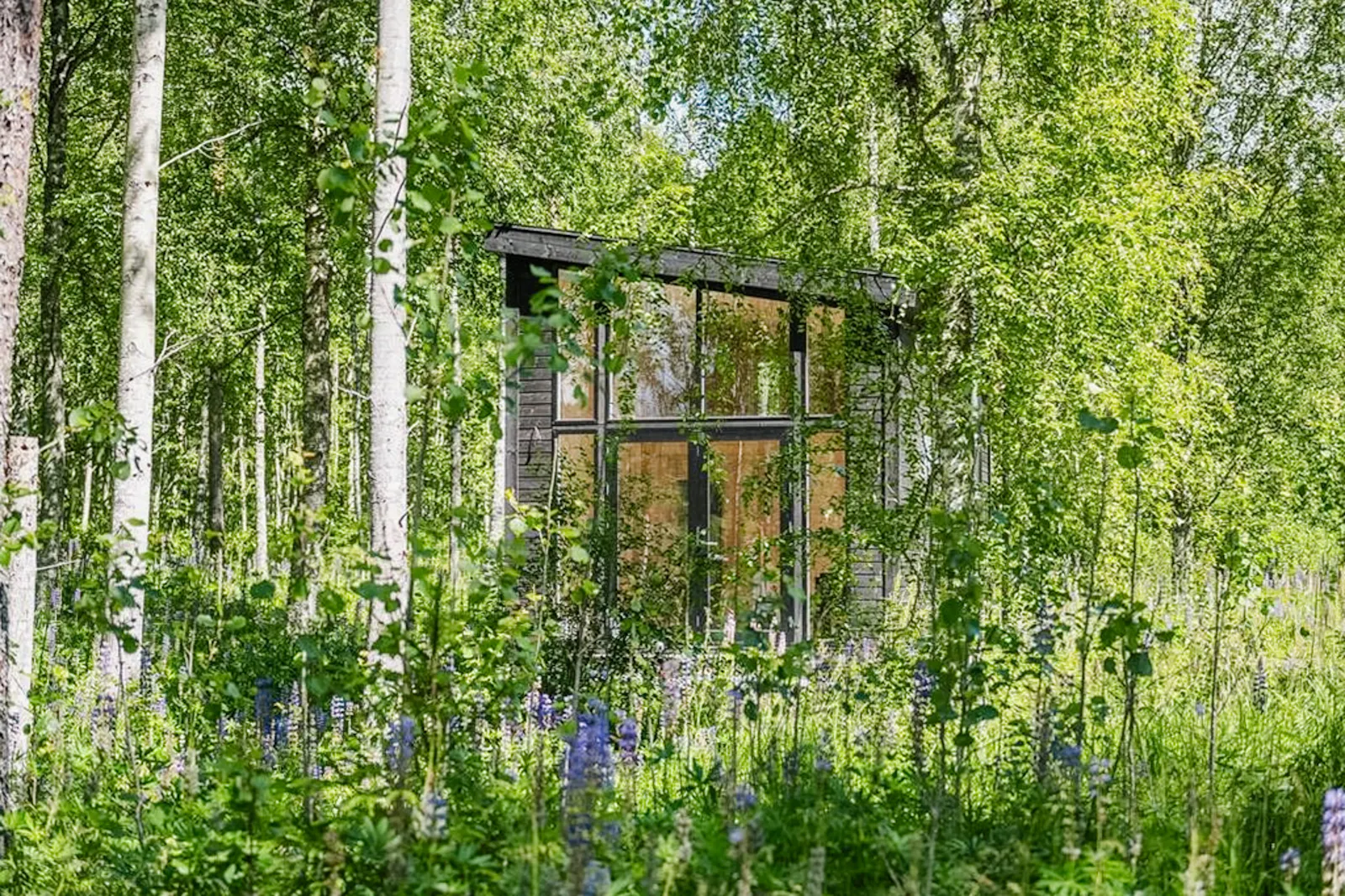 Minimalistisk stuga med skogsutsikt i Arvika – bild 15 av 19
