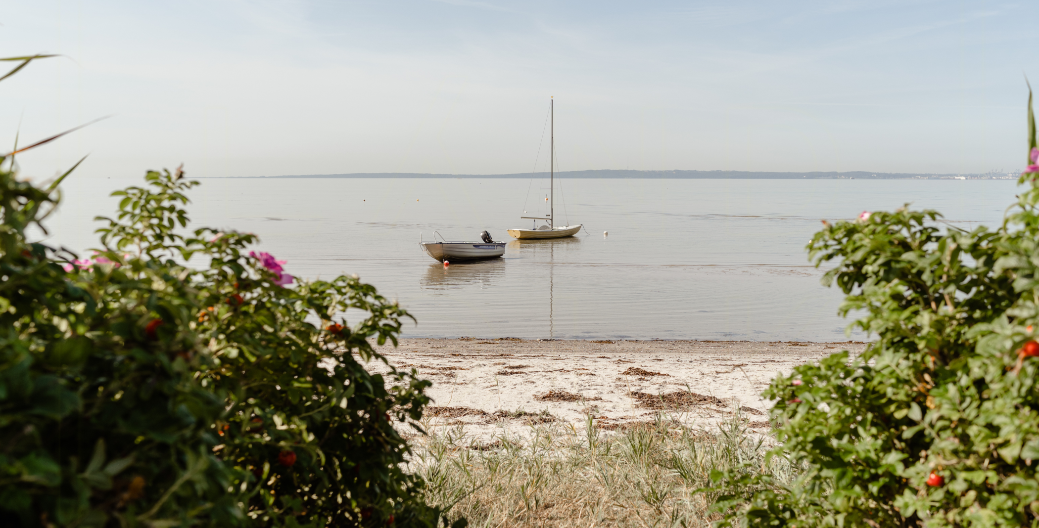 Travel, taste, experience: Great spots on Langeland you should not miss out on