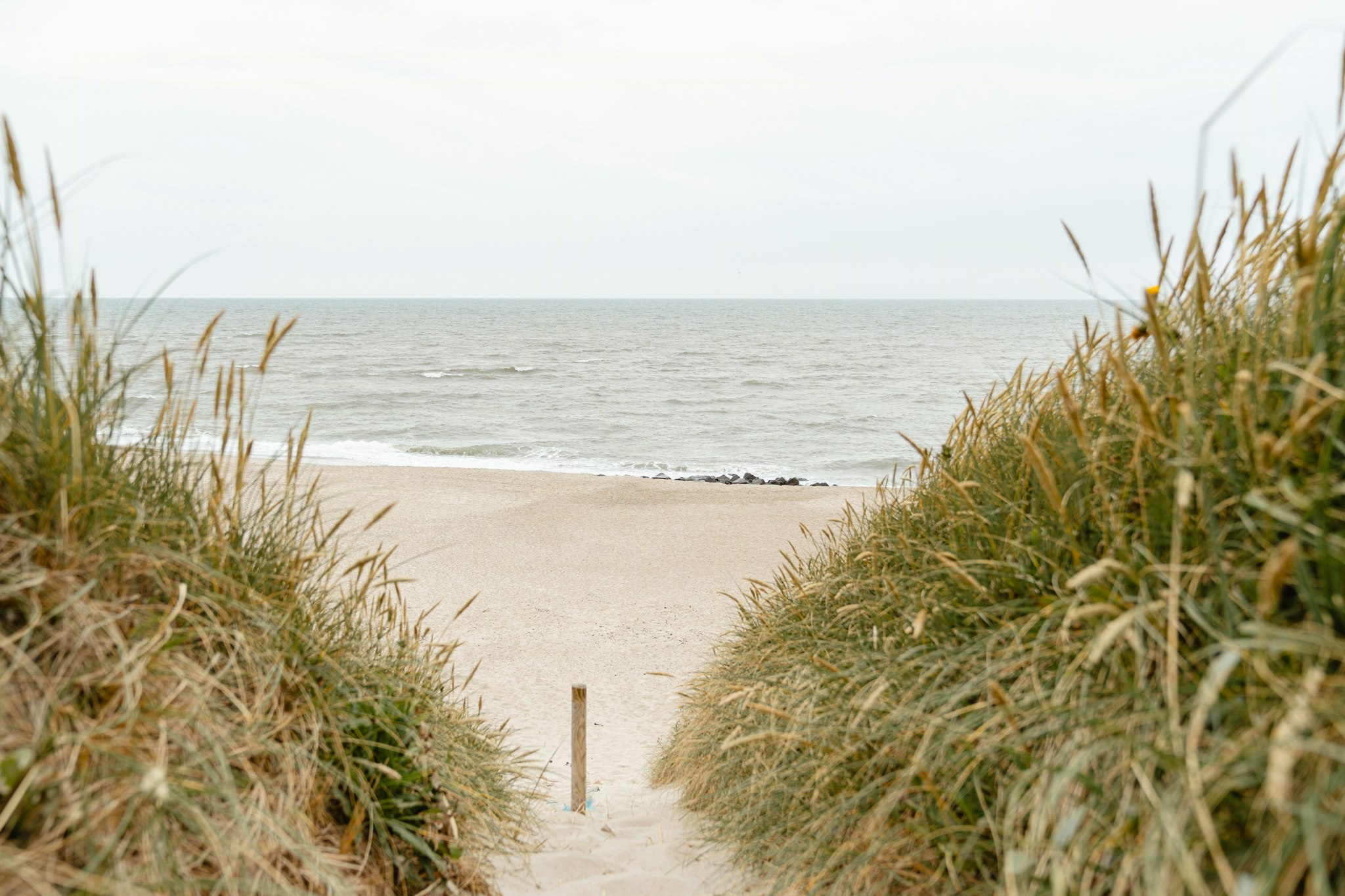 Søndervig cover image